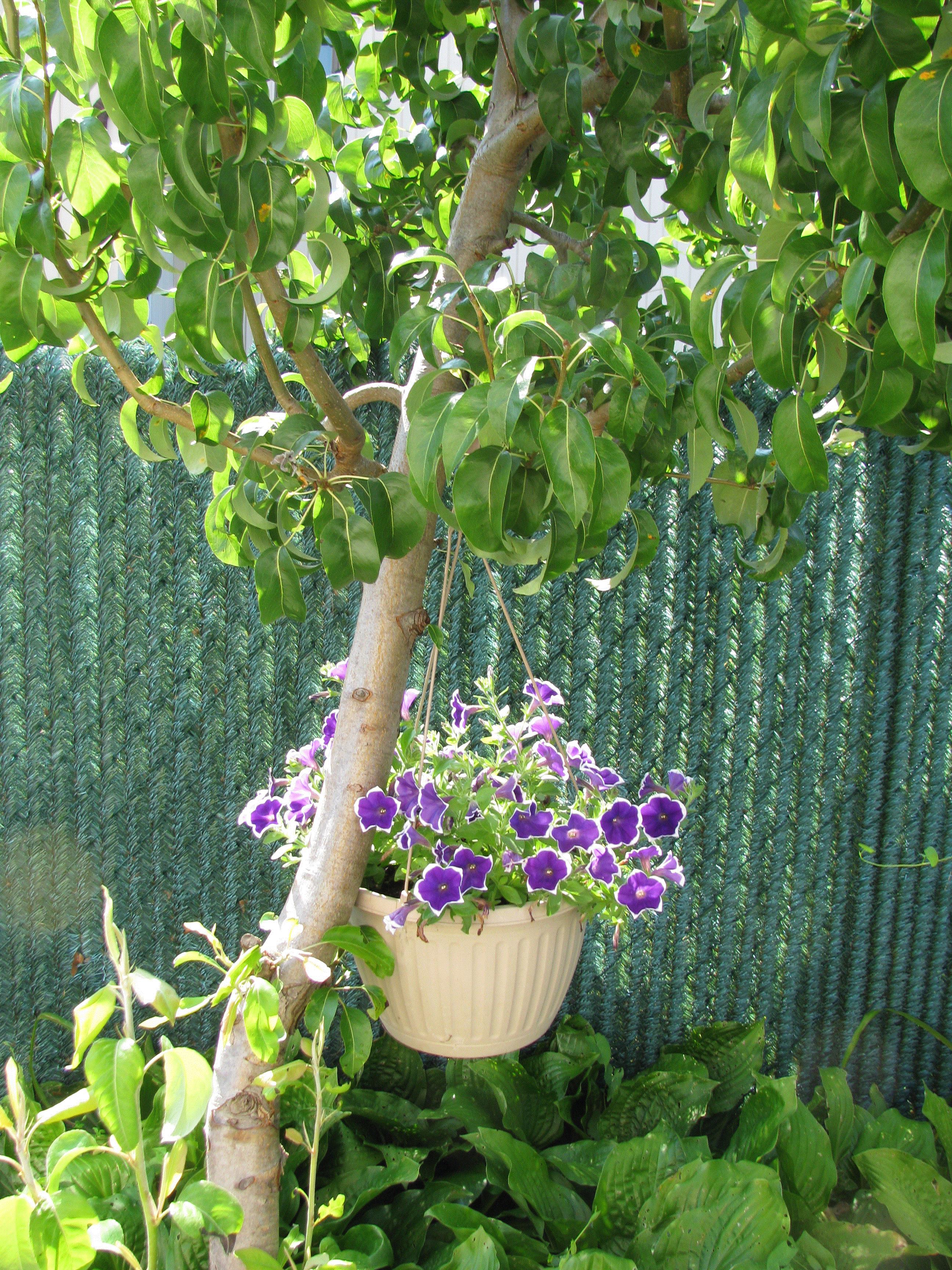 Mark, Bethpage, New York