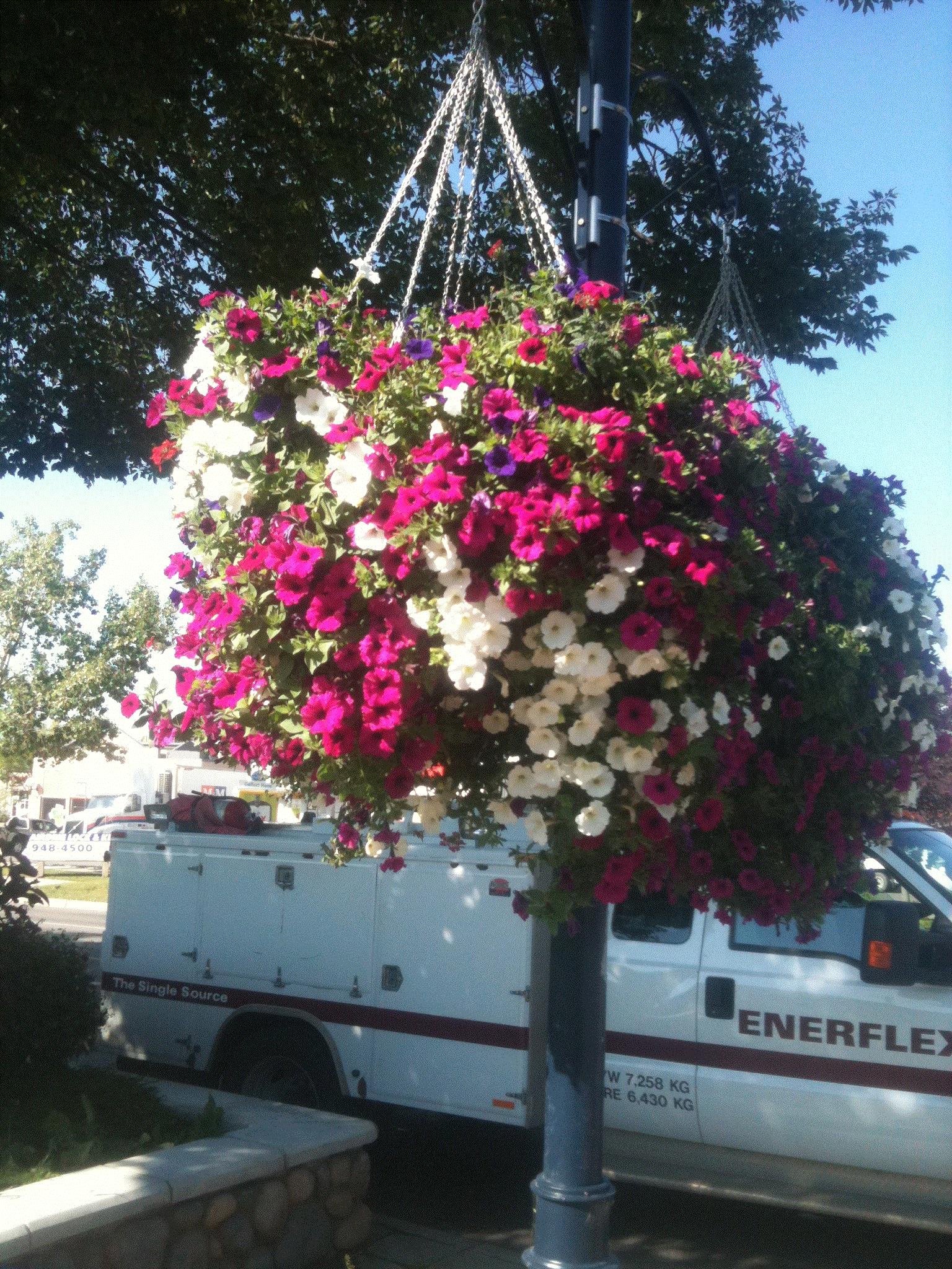 Carly, Airdrie, Alberta . Canada