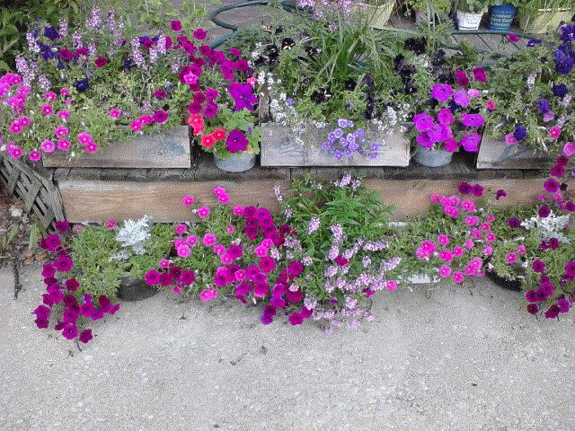 Nancy A, Chicago, IL