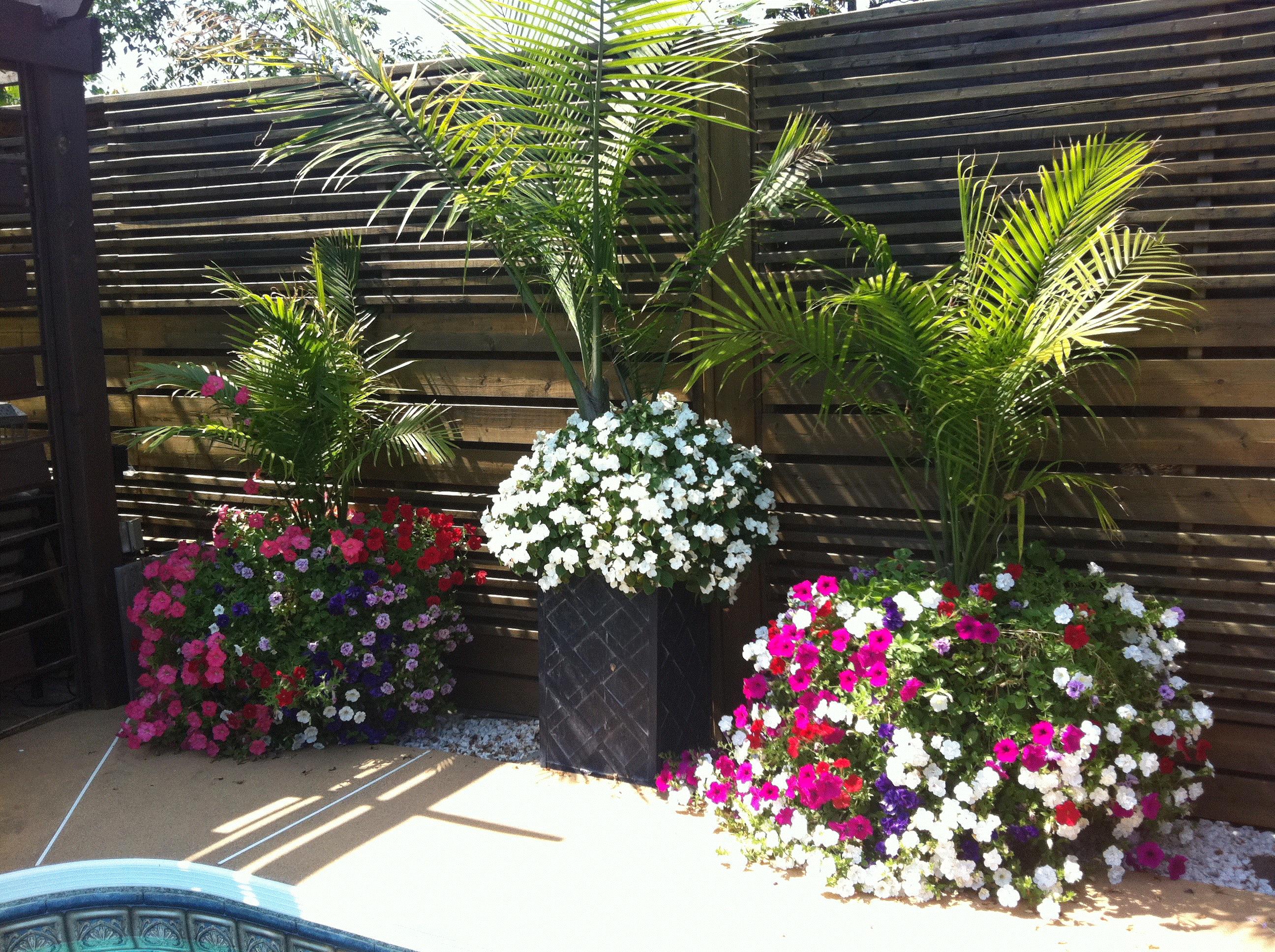 Marina, Montreal, Quebec