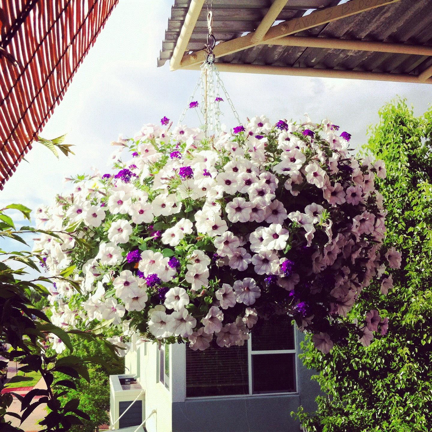 Brandon, Denver, Colorado