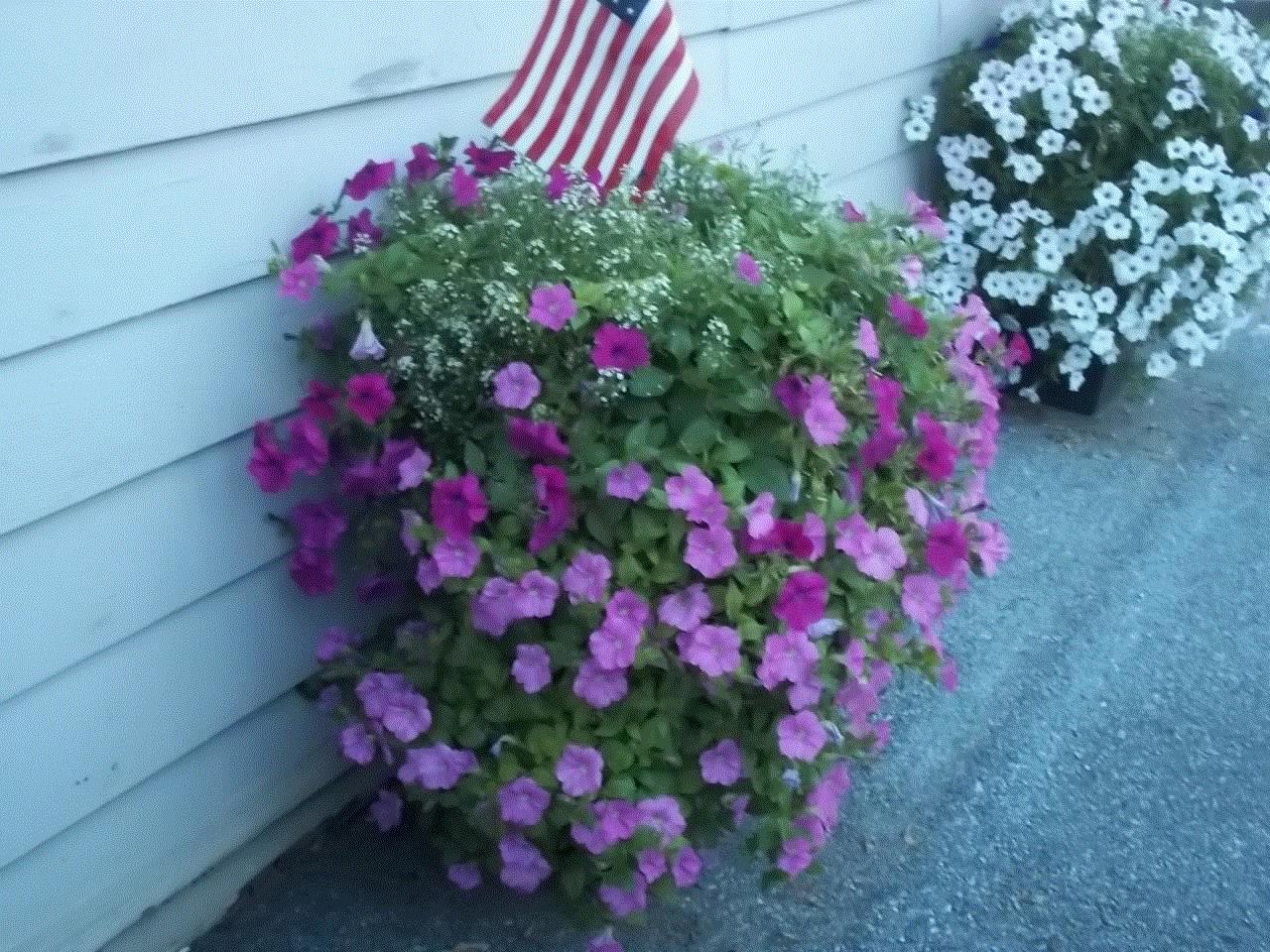 Fay, Lititz, Pennsylvania