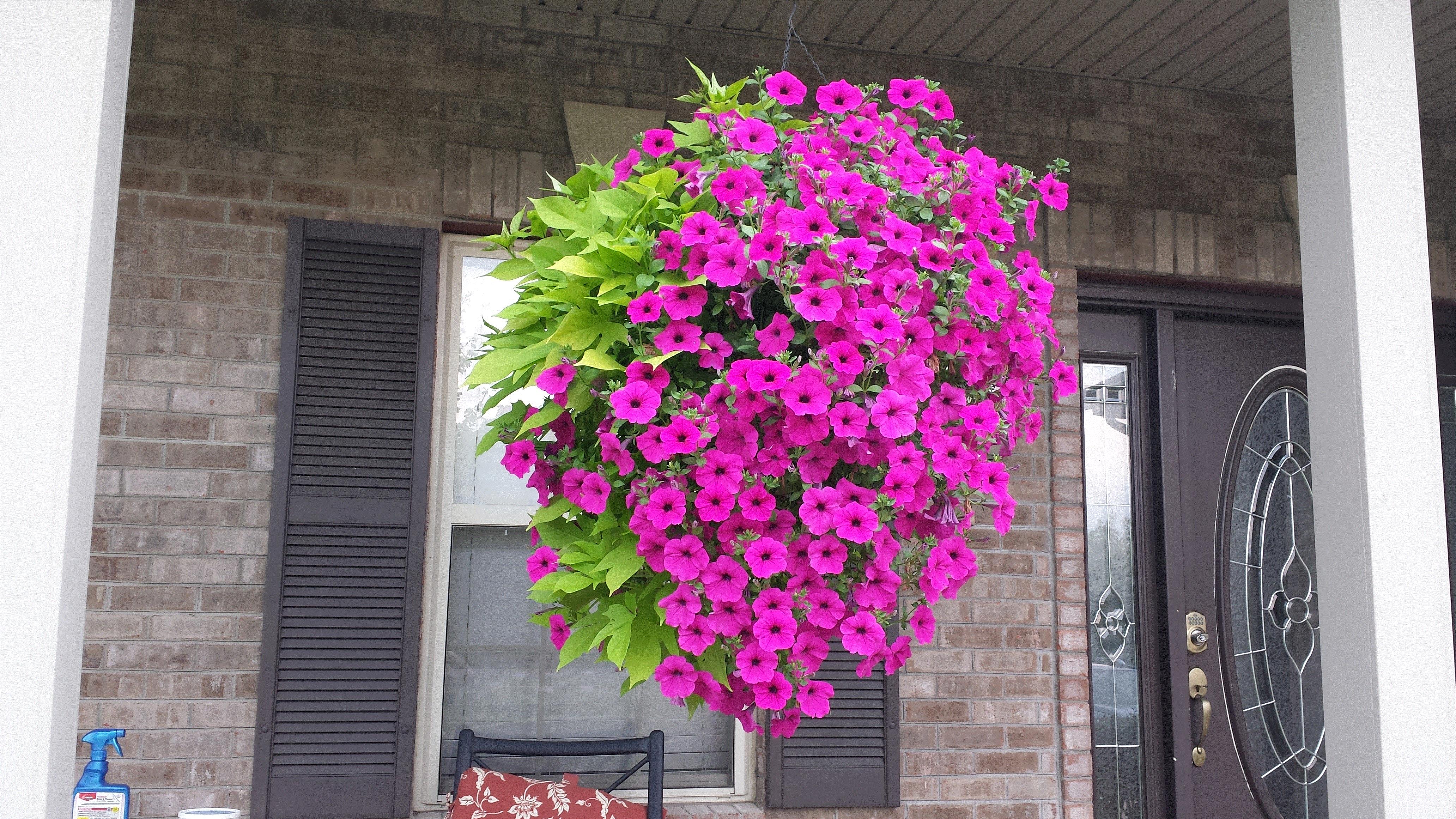 Jennifer, Harrison, OH