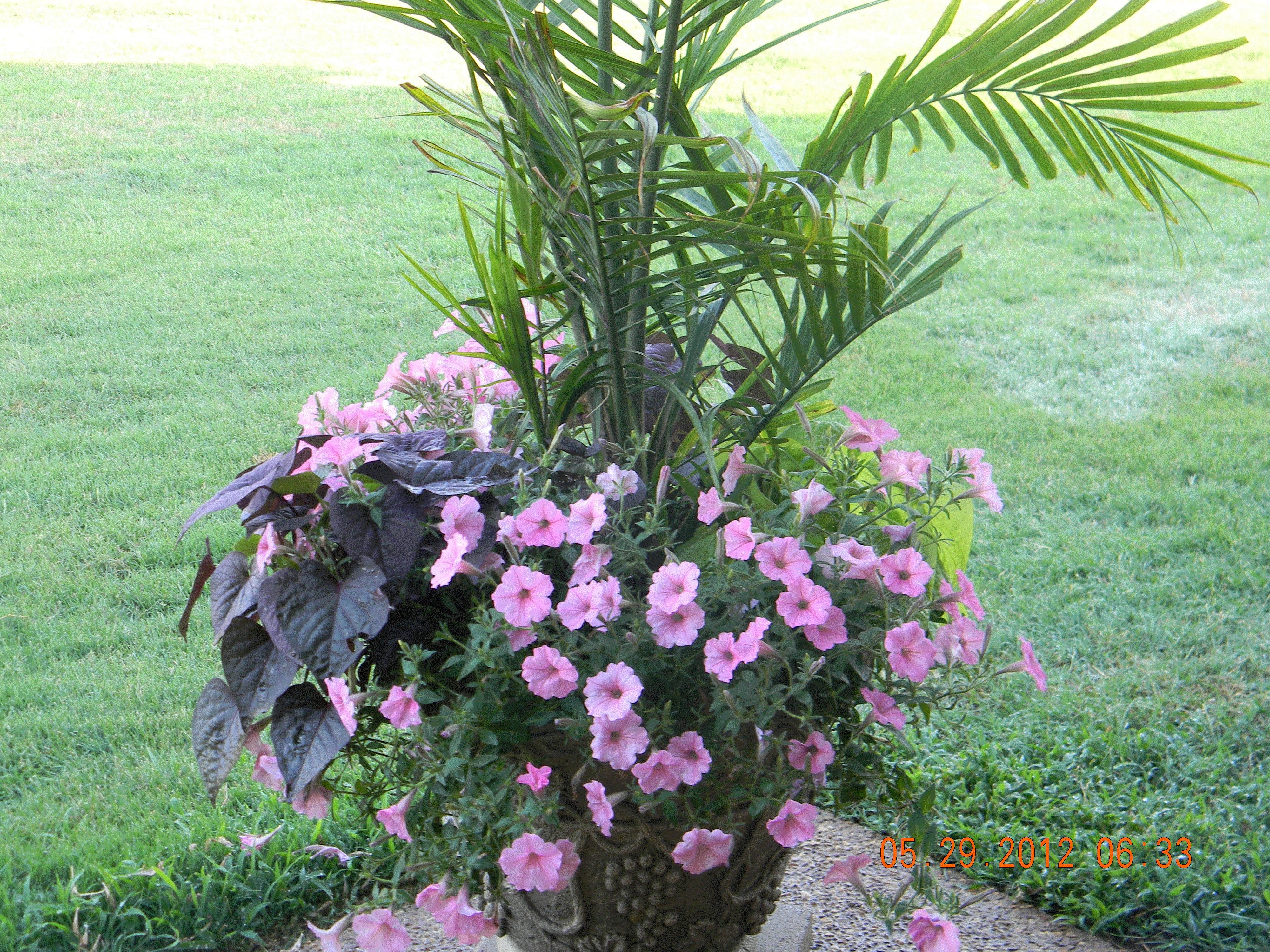 Delois, Southaven, MS