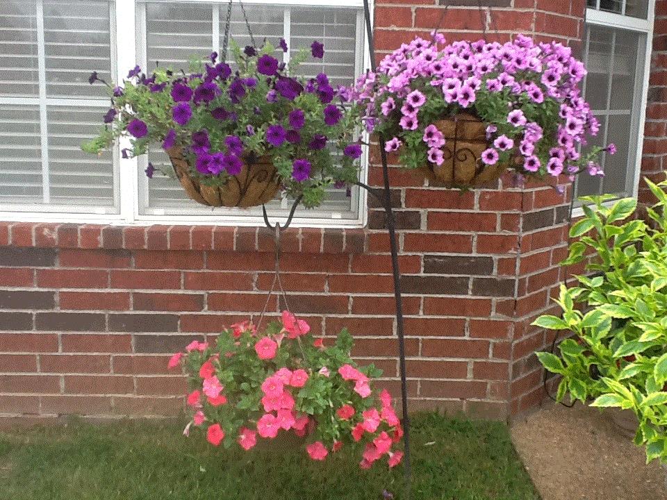 Delois, Southaven, MS