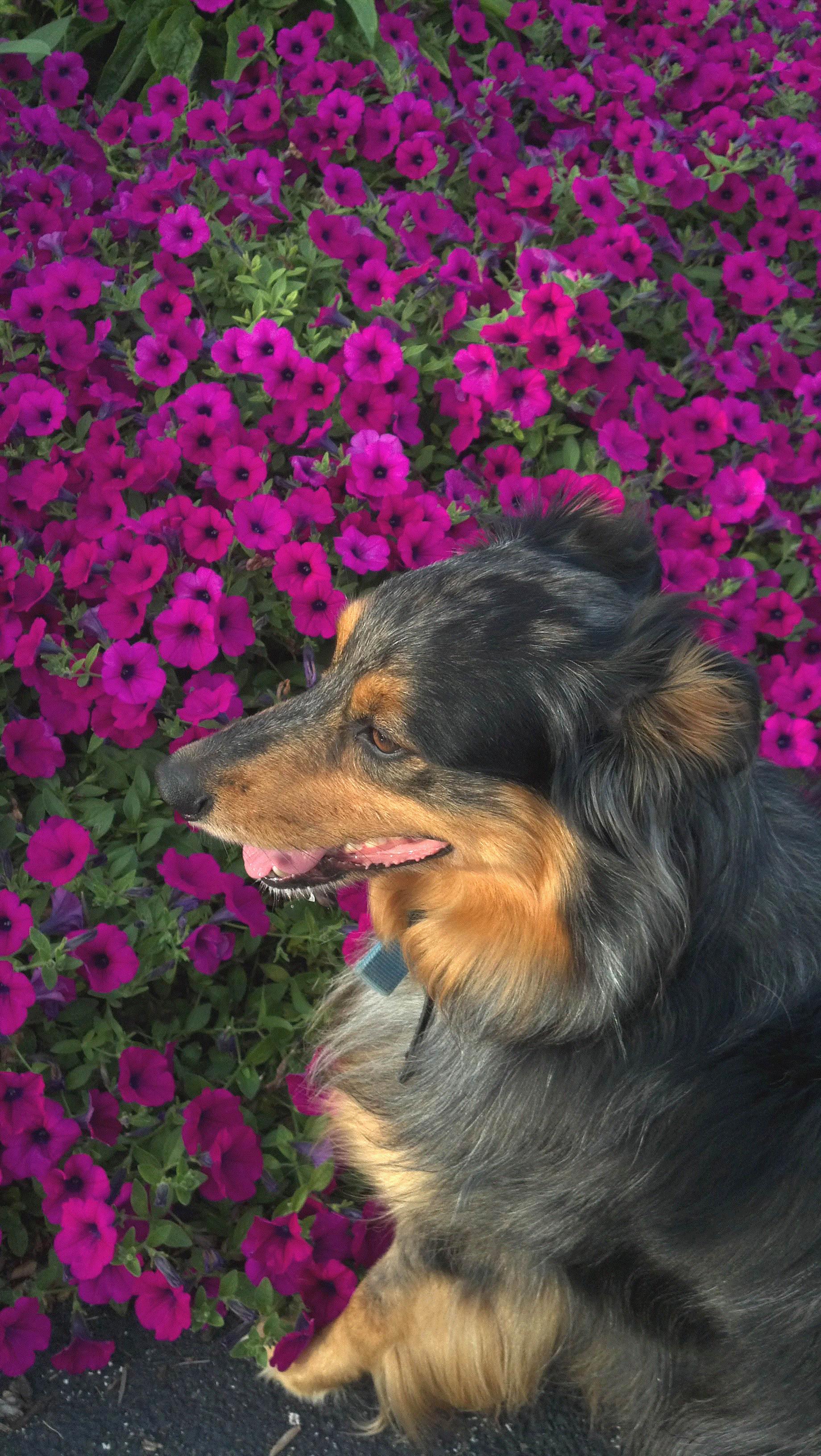 Sue, Montague, Michigan