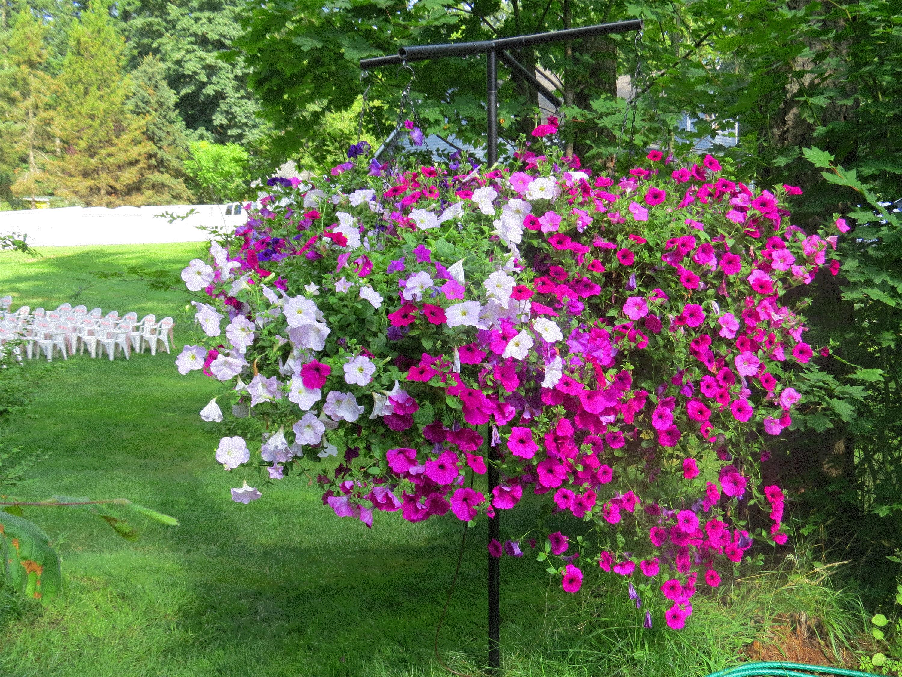 Jim, Covington, Washington