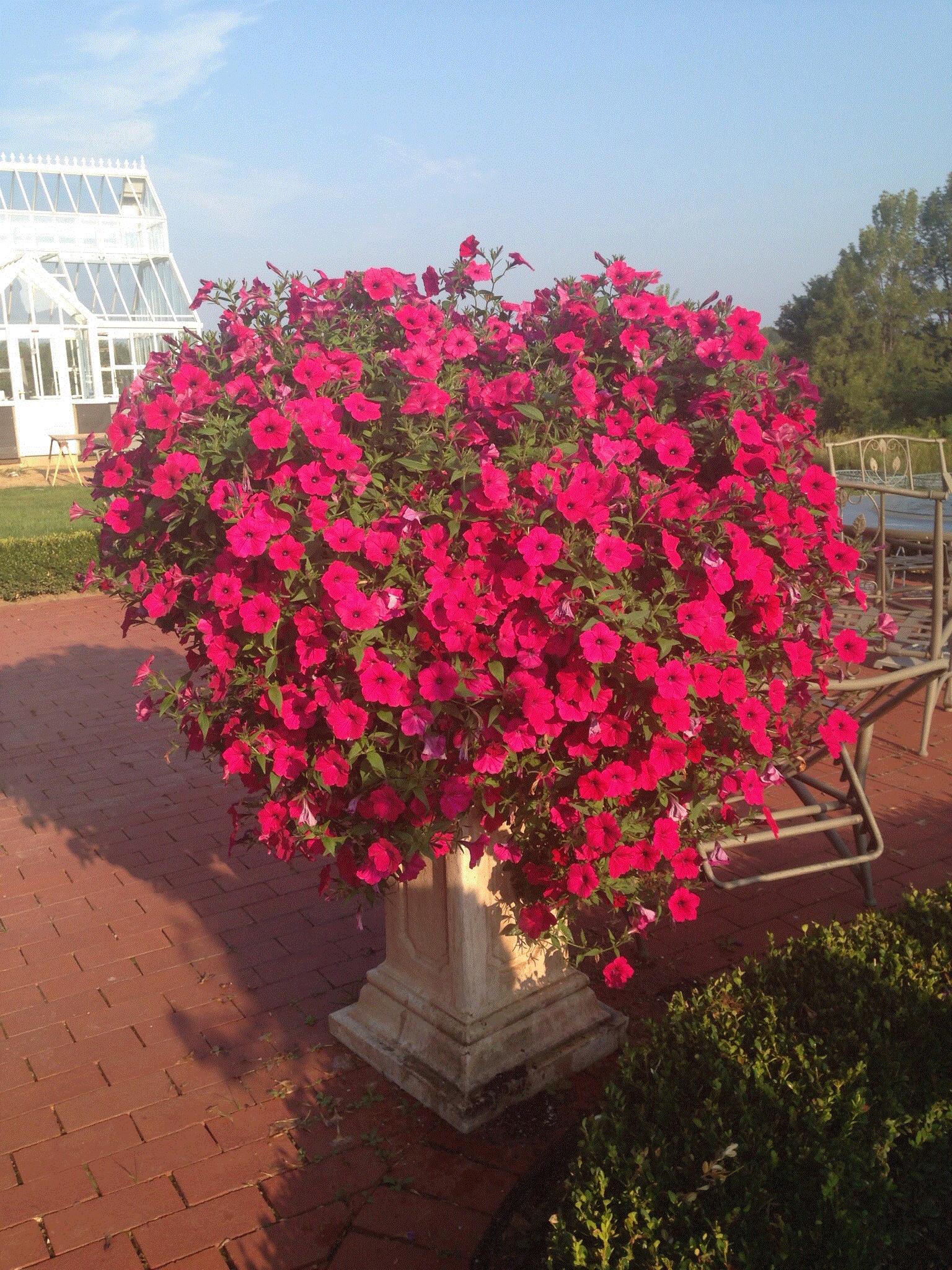 Linda, Edinboro, Pa.