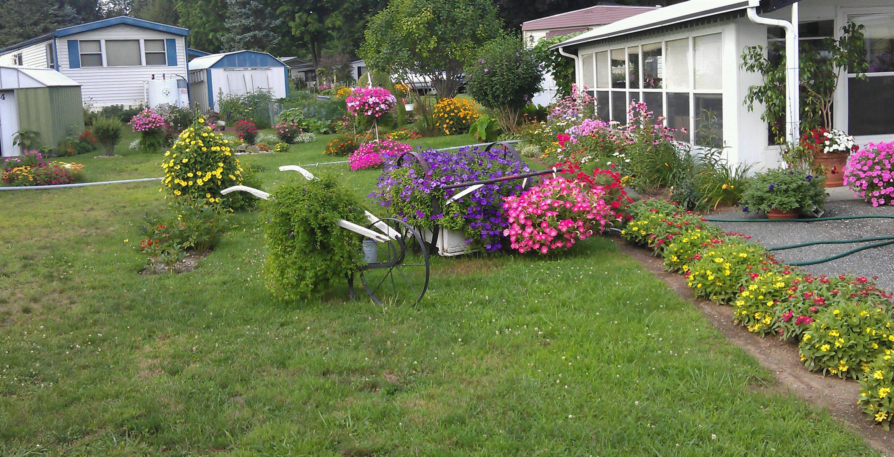 Penny, Dover Plains, New York