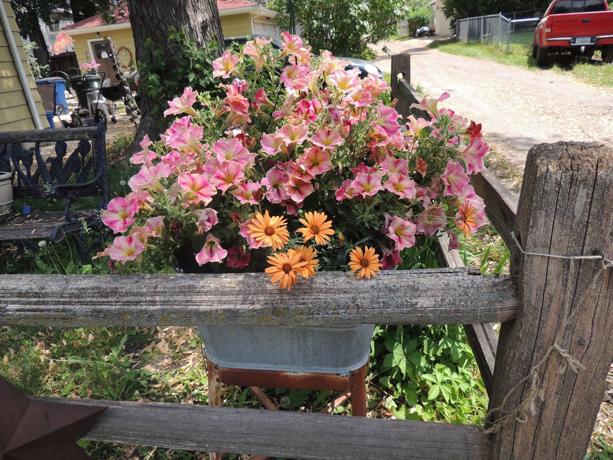 Linda, Waterloo, Iowa