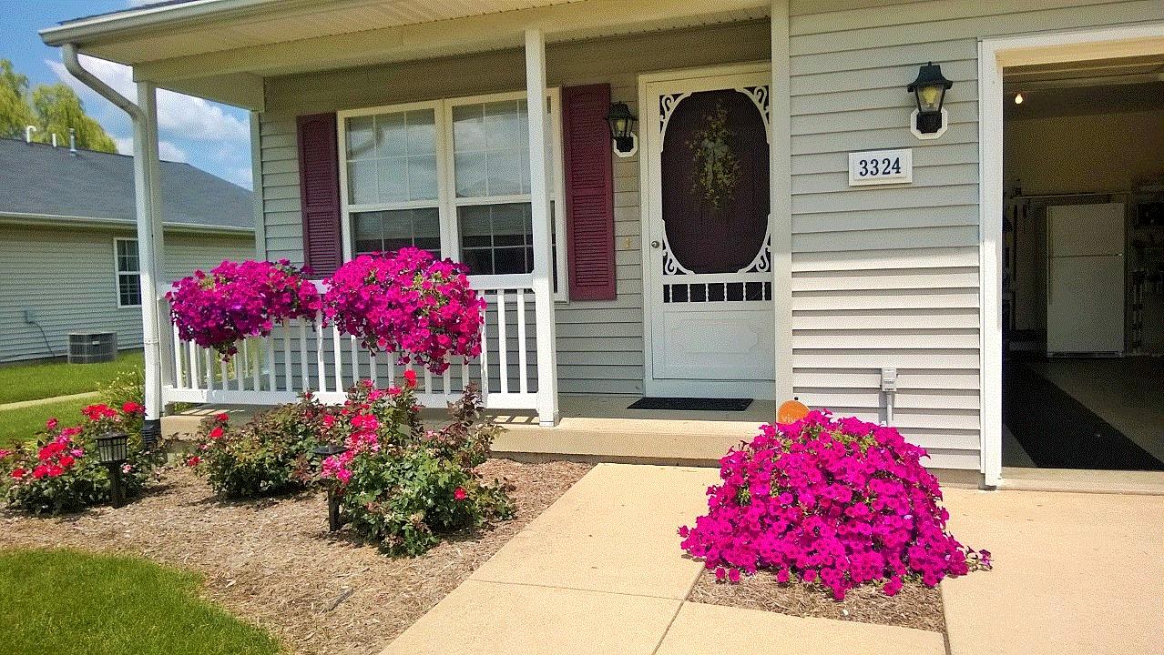 Sandra, Champaign, Illinois