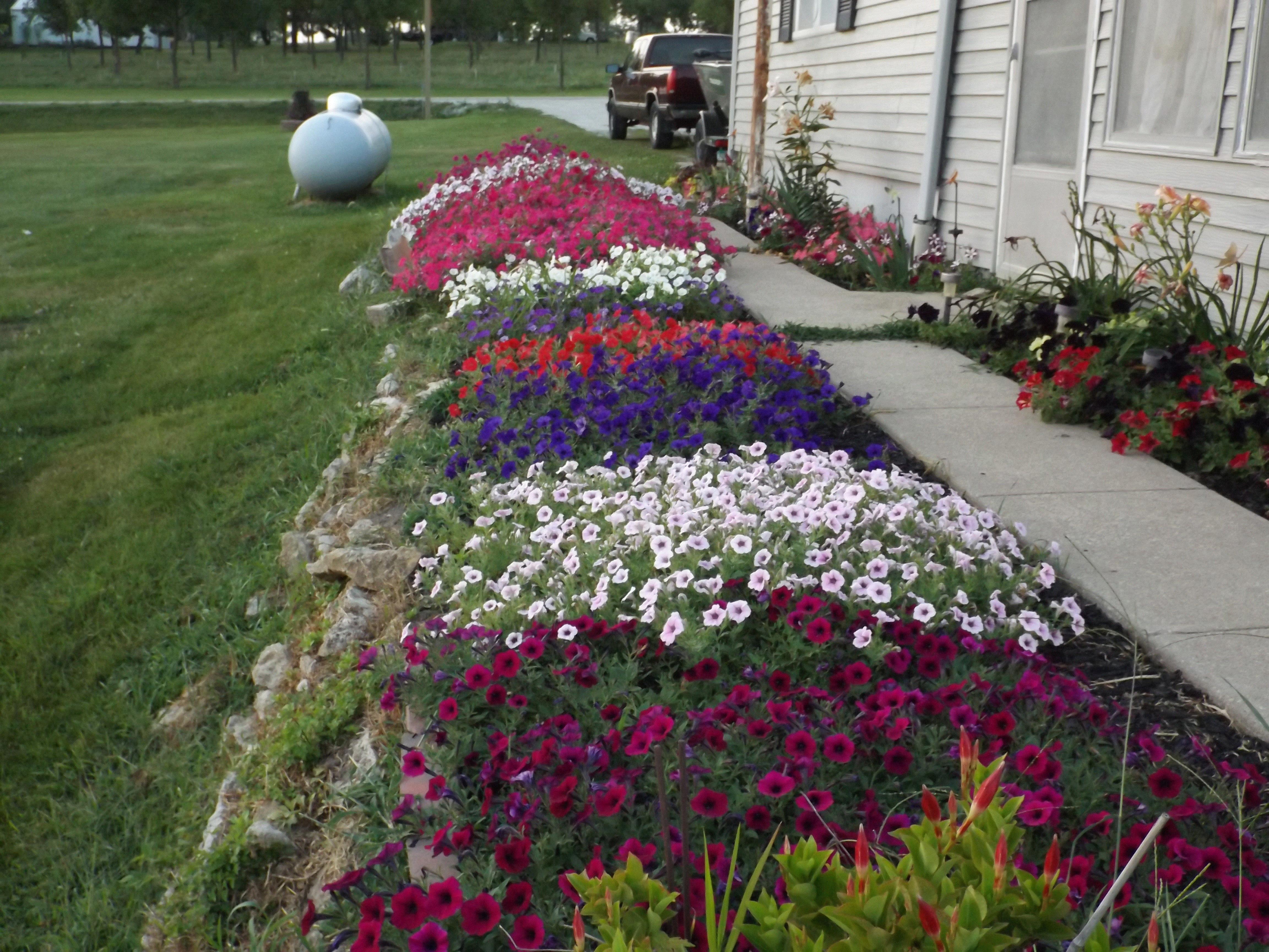 Angie, Moulton, Iowa