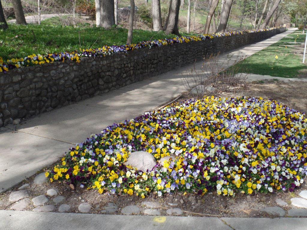 Resident, Glen Ellyn, Illinois