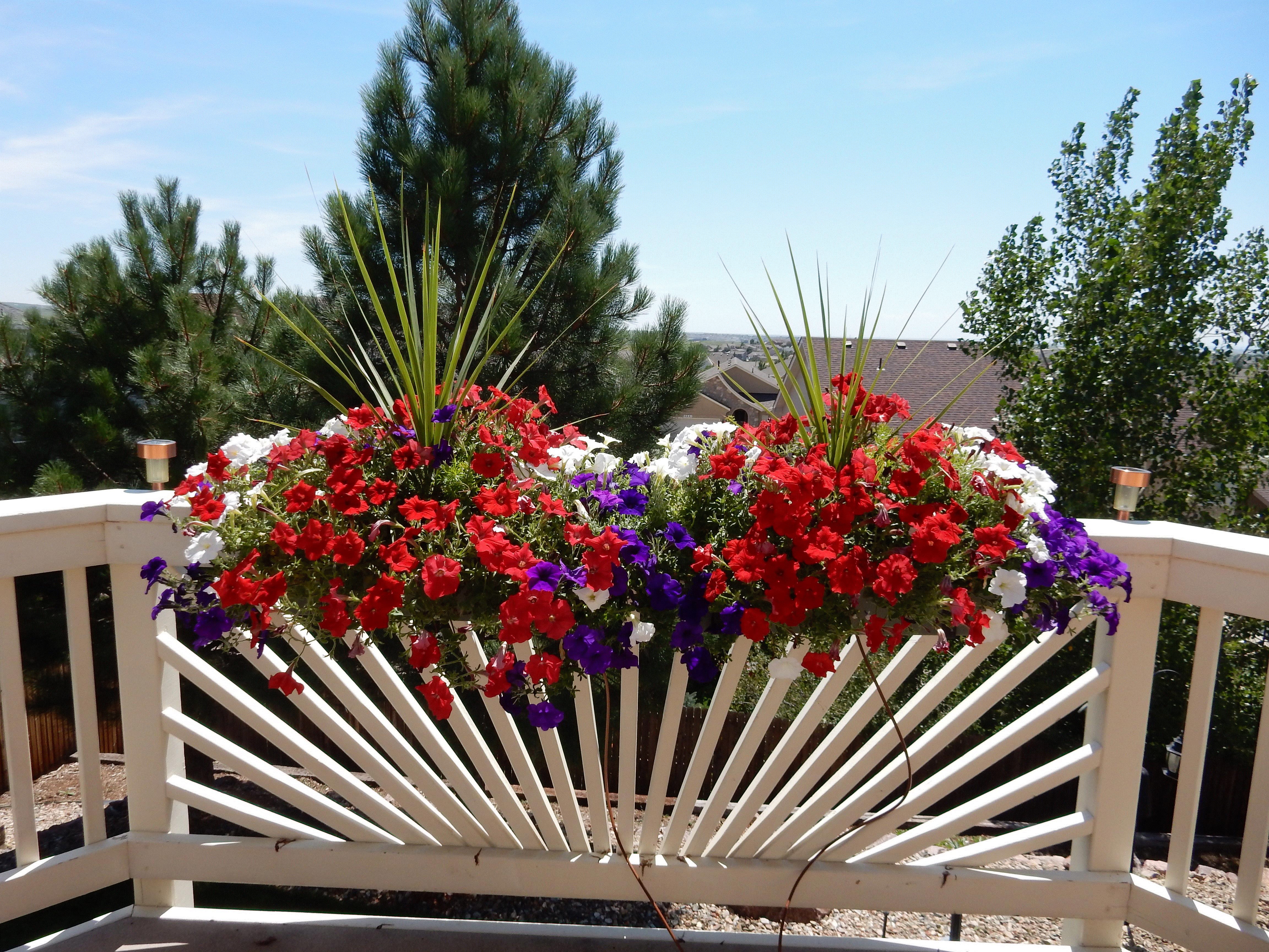 Karla, Colorado Springs