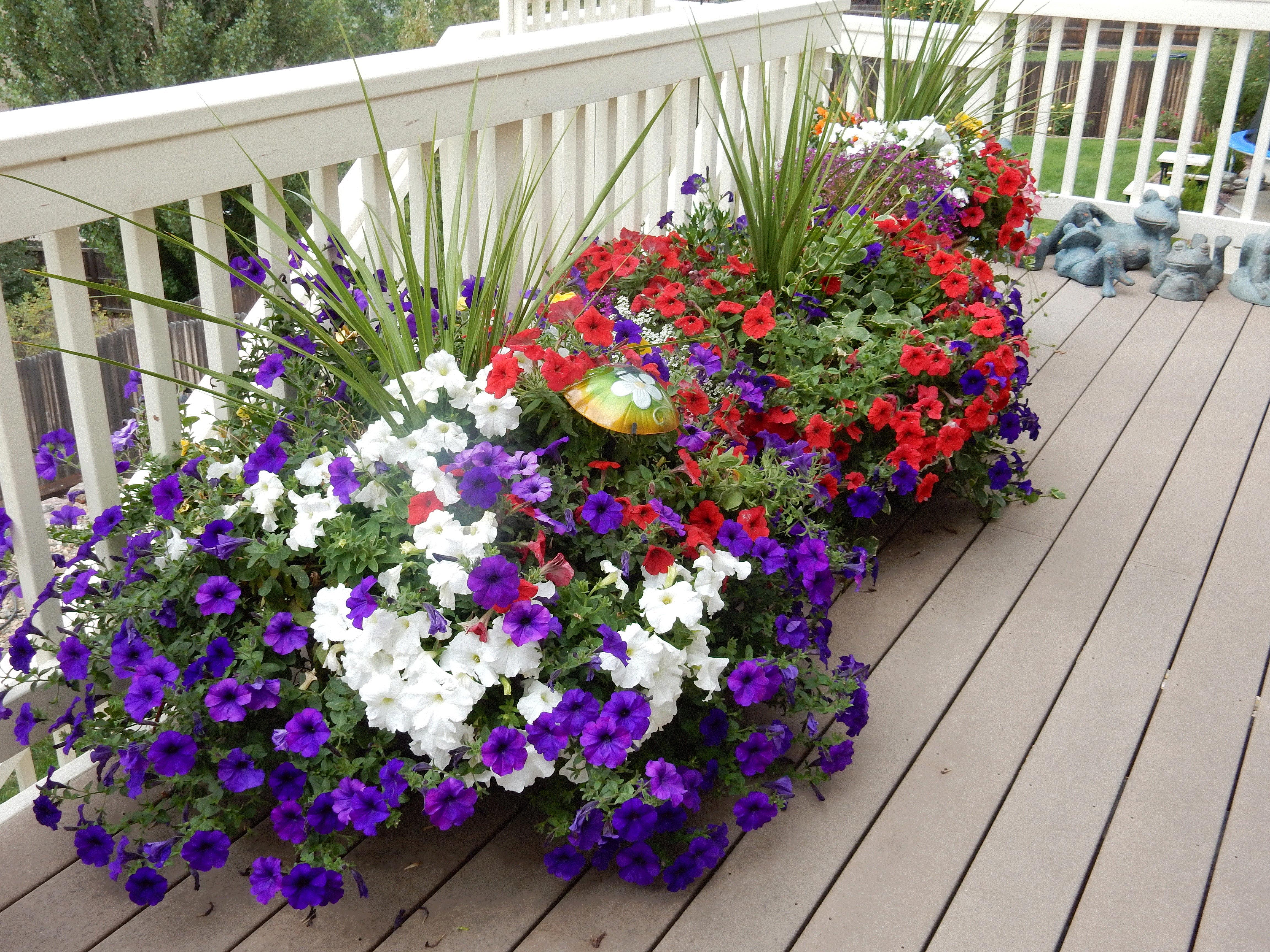 Karla, Colorado Springs