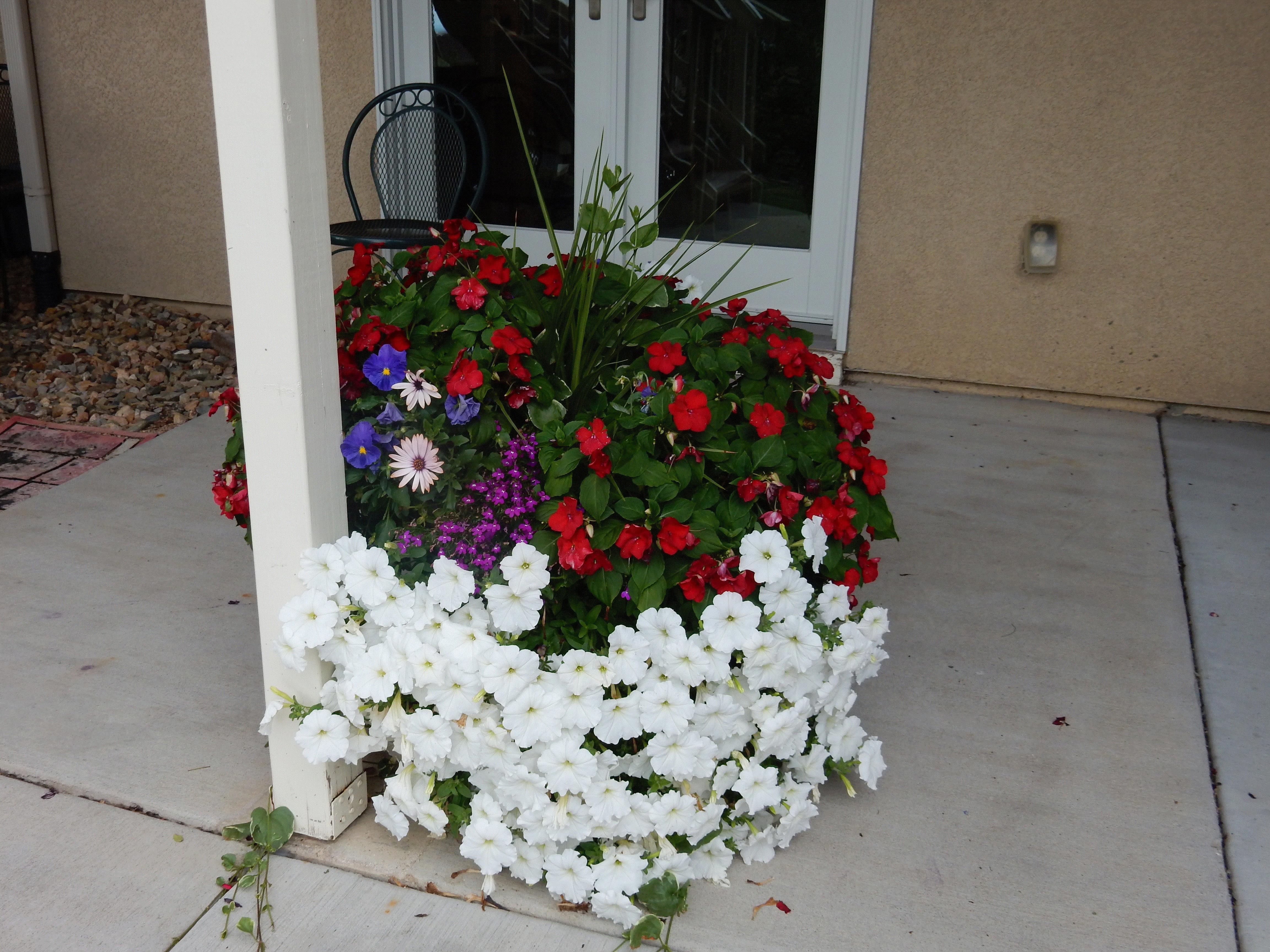 Karla, Colorado Springs