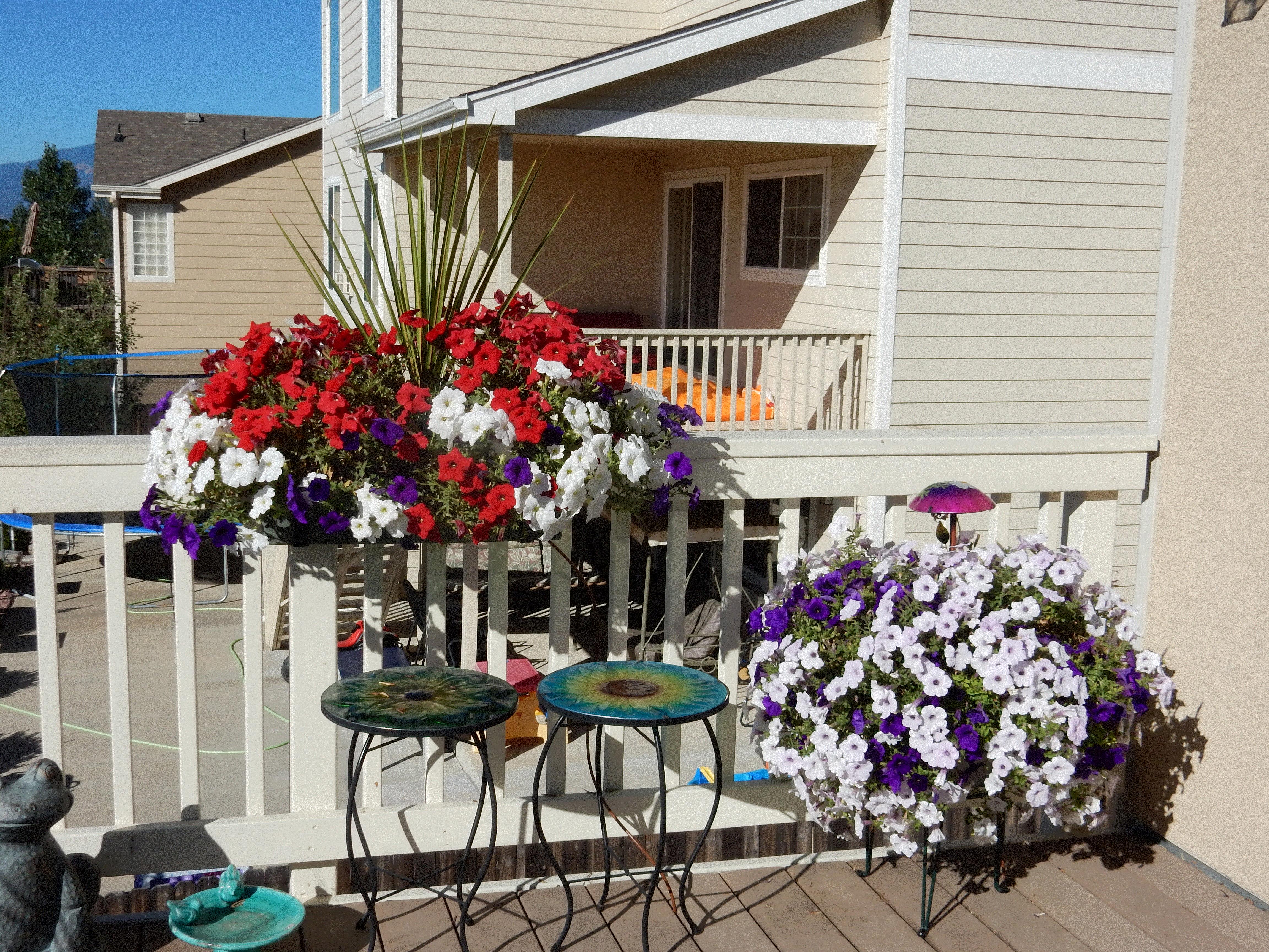 Karla, Colorado Springs