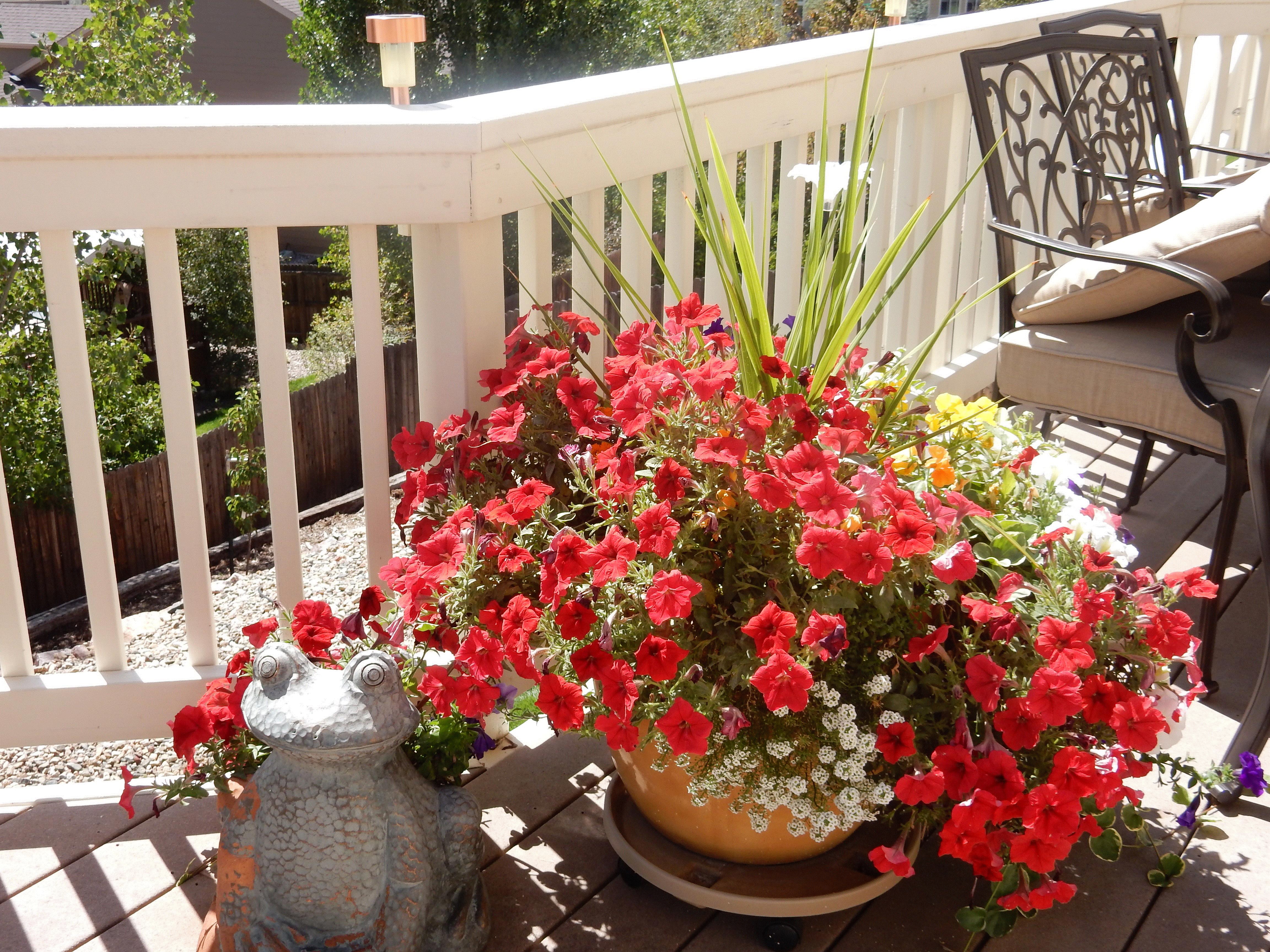 Karla, Colorado Springs