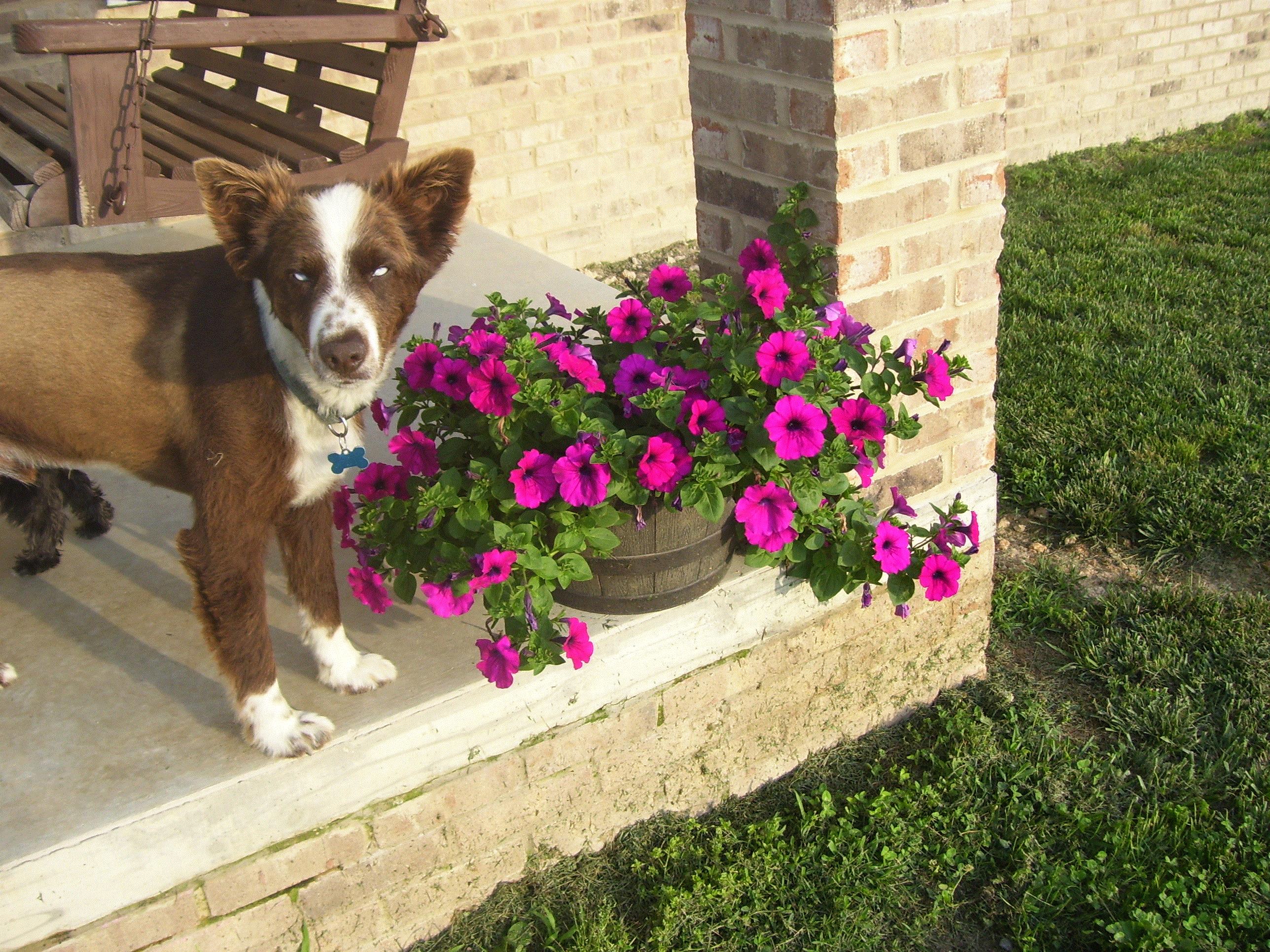 Brenda, Gainesboro, Tennessee