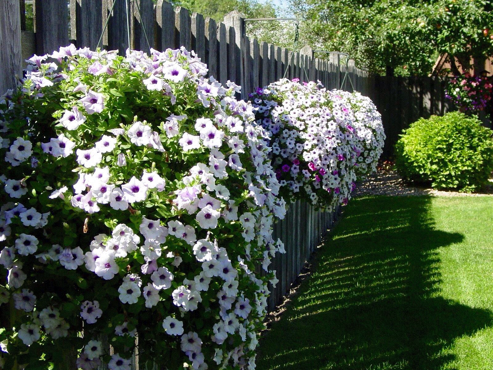 Mary Jane, Eagan, MN