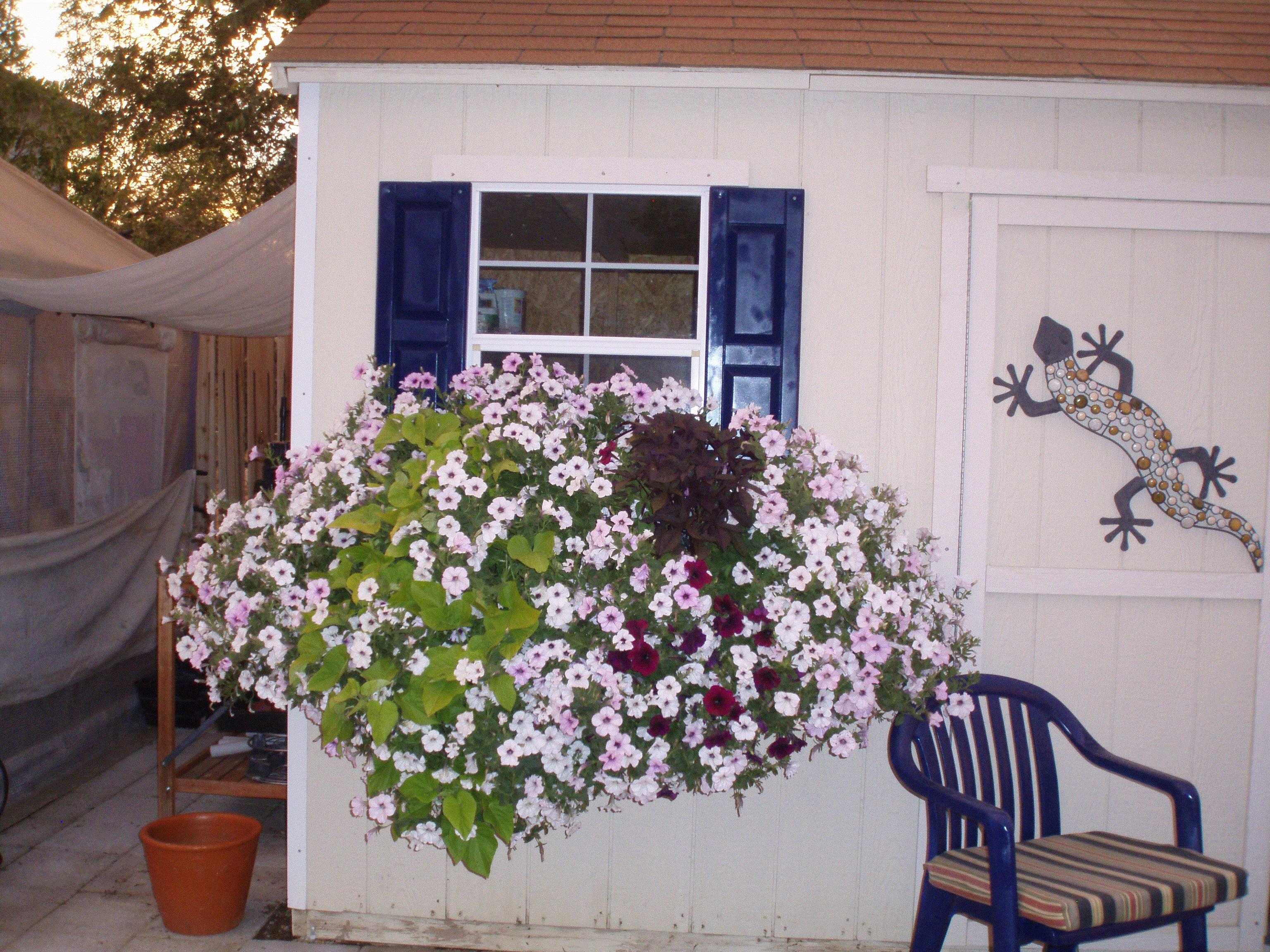 Gypsee, Carson City, NV