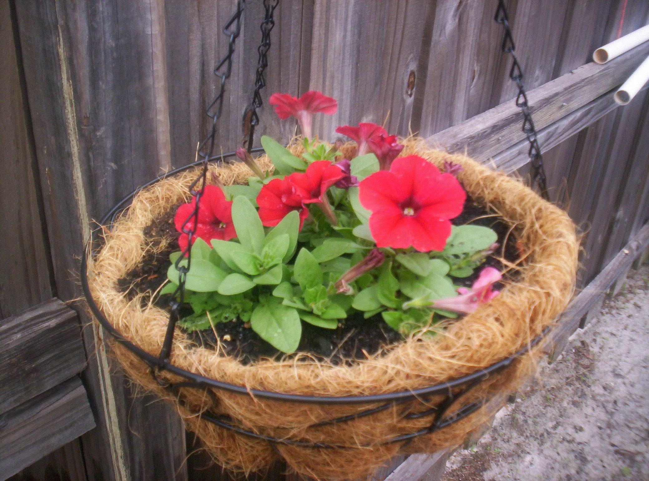 Steven, North Port, Florida