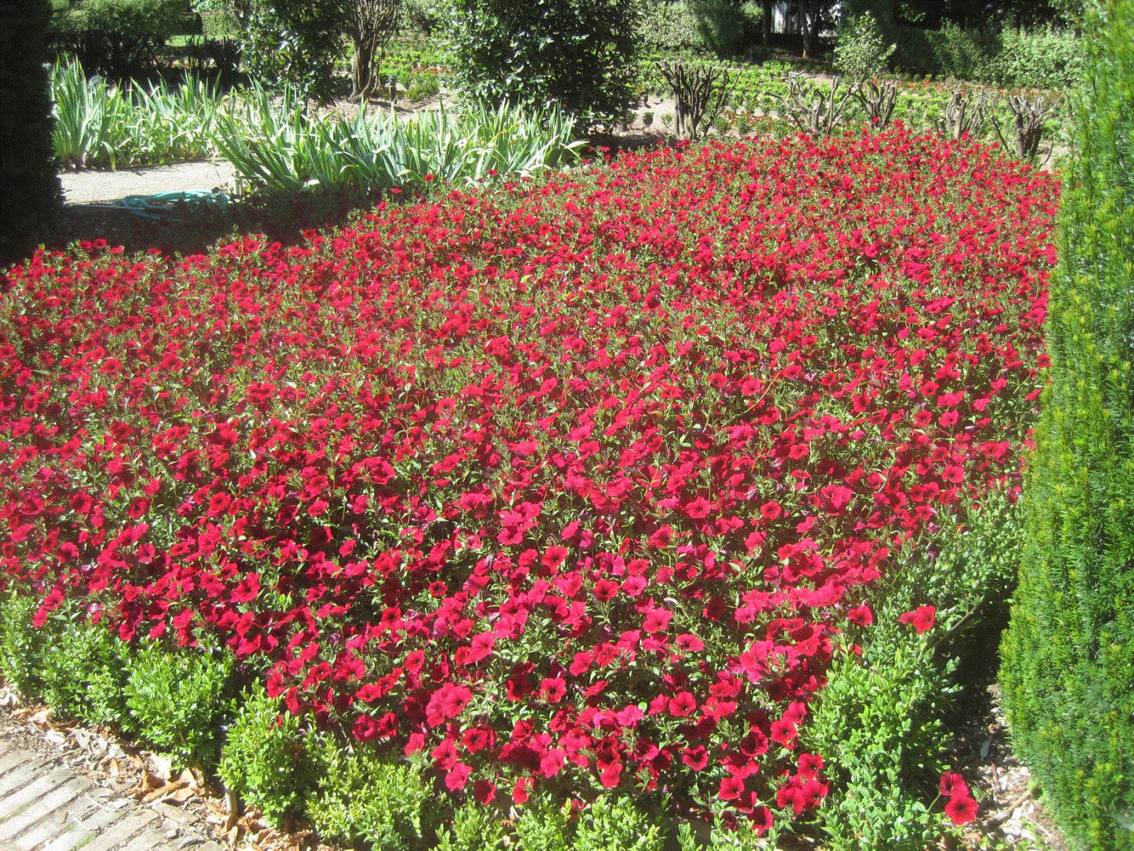 Filoli Estate, Woodside, CA