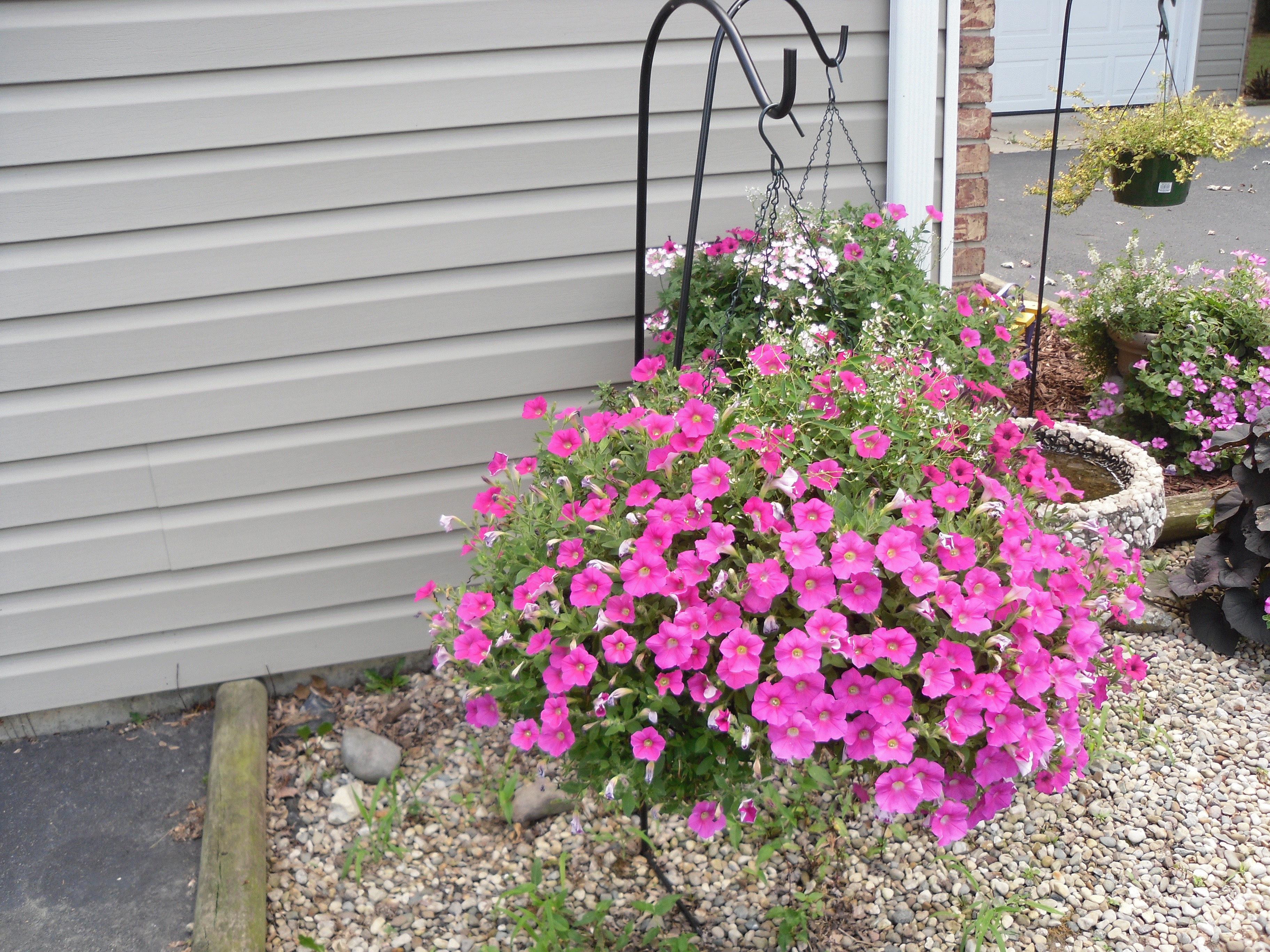 Margaret, Hamilton, IN