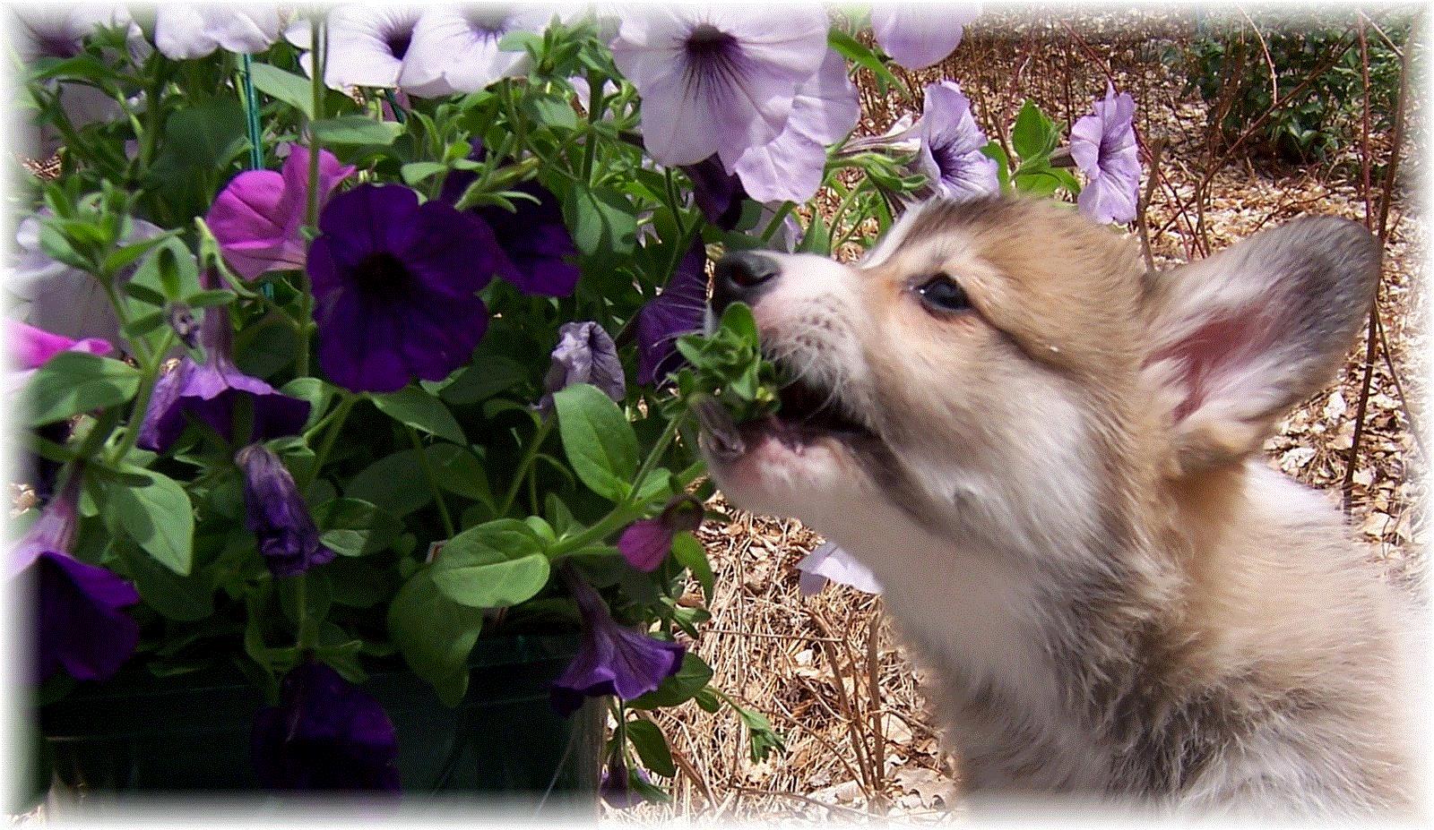 Cathy, Toms River, New Jersey