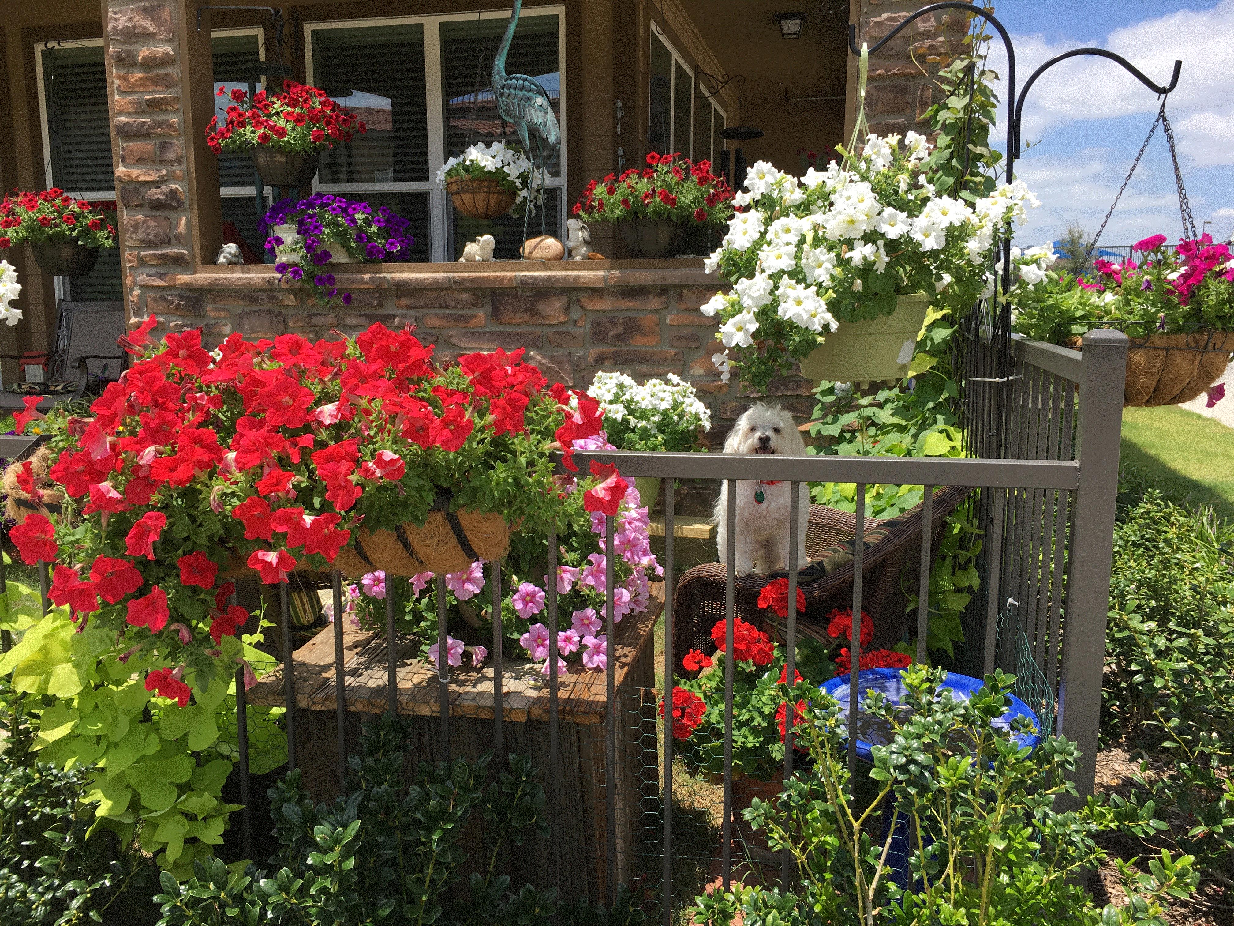 George, Grand Prairie, Texas