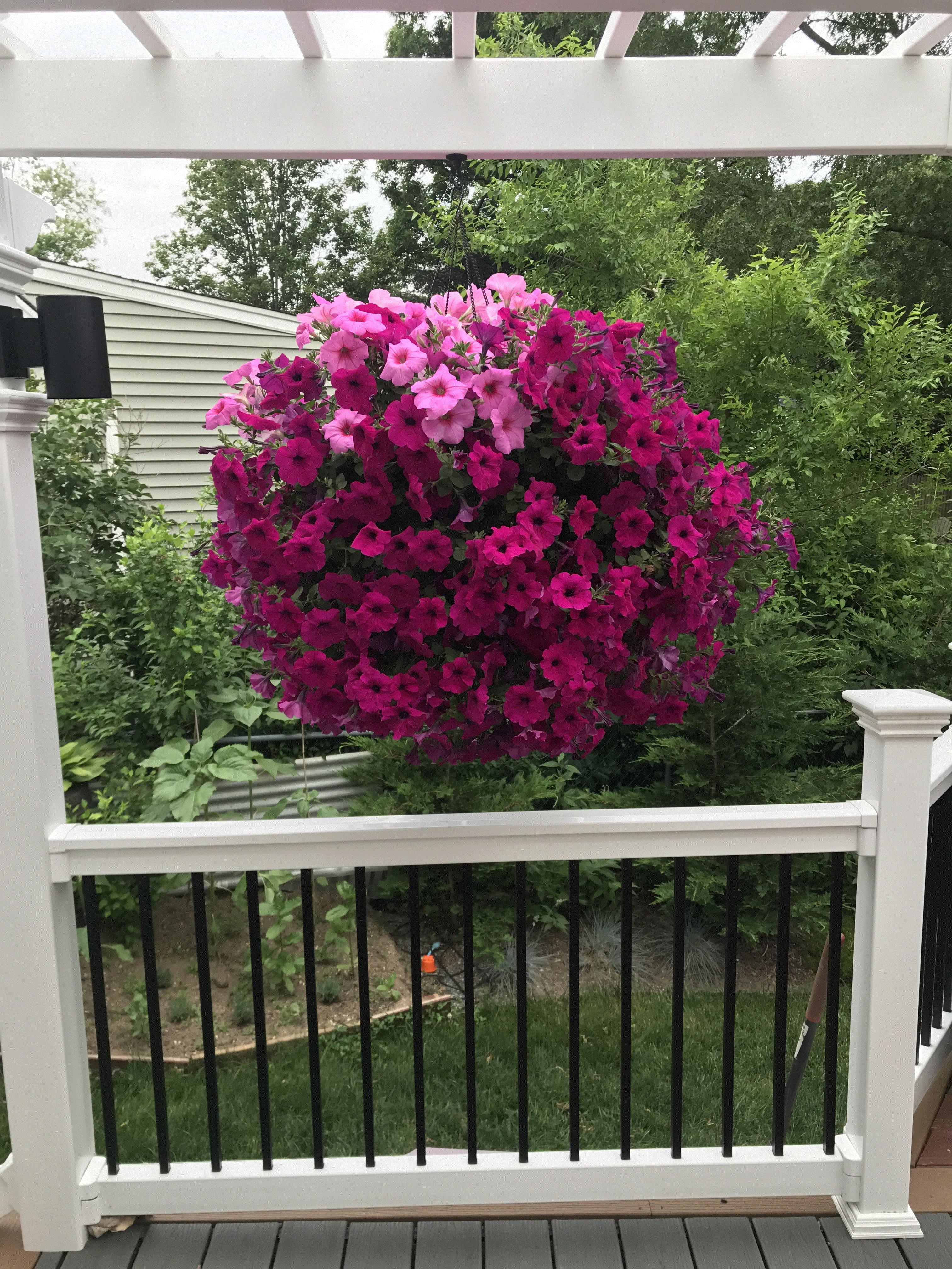 Adrian, Oceanside, New York