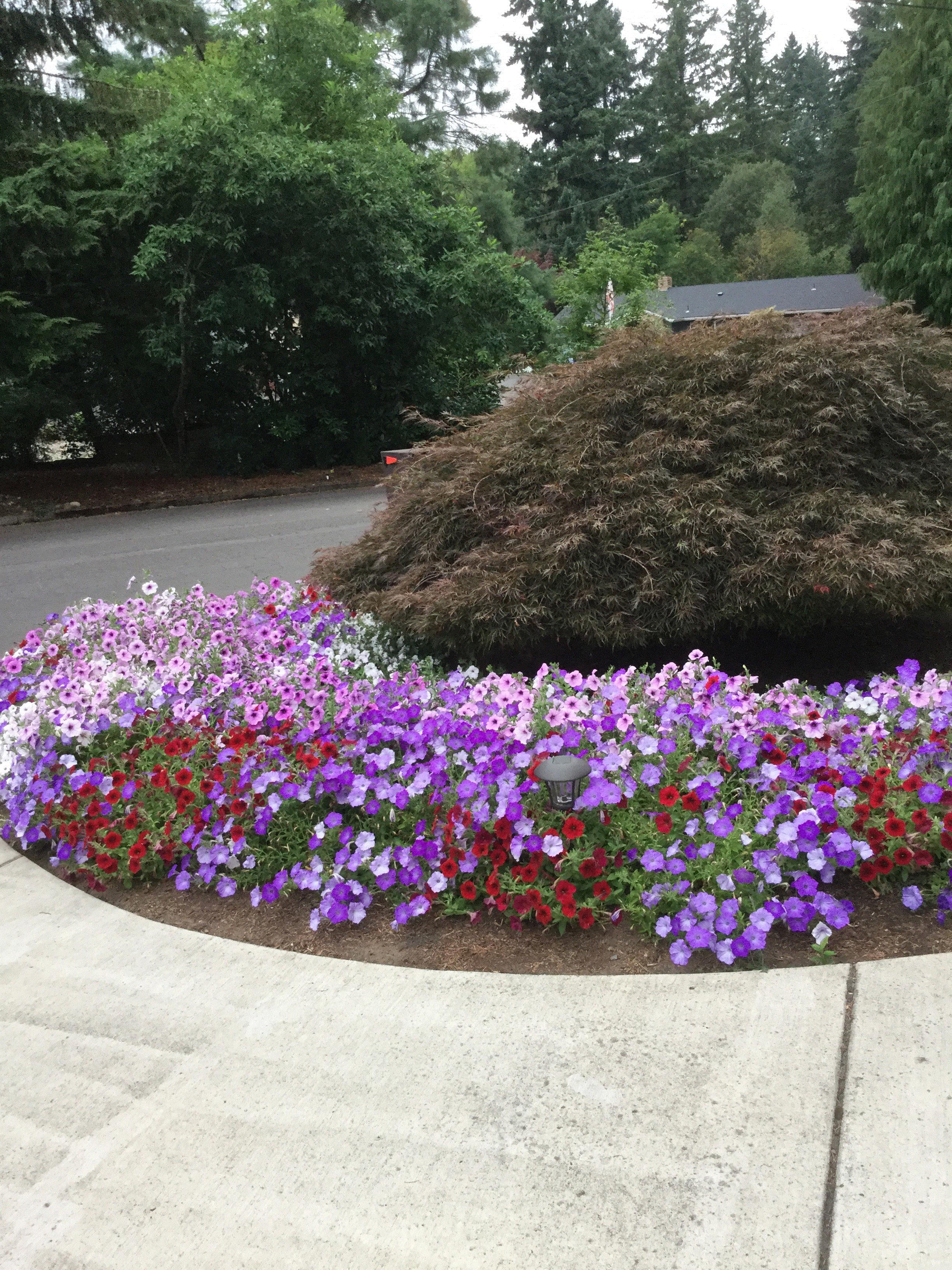 Pamela, Vancouver, Washington