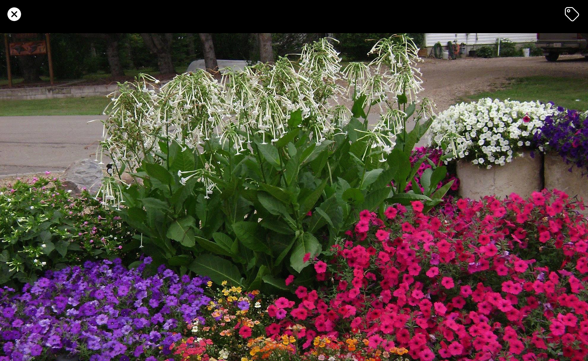 Sandi, Castor, Alberta, Canada