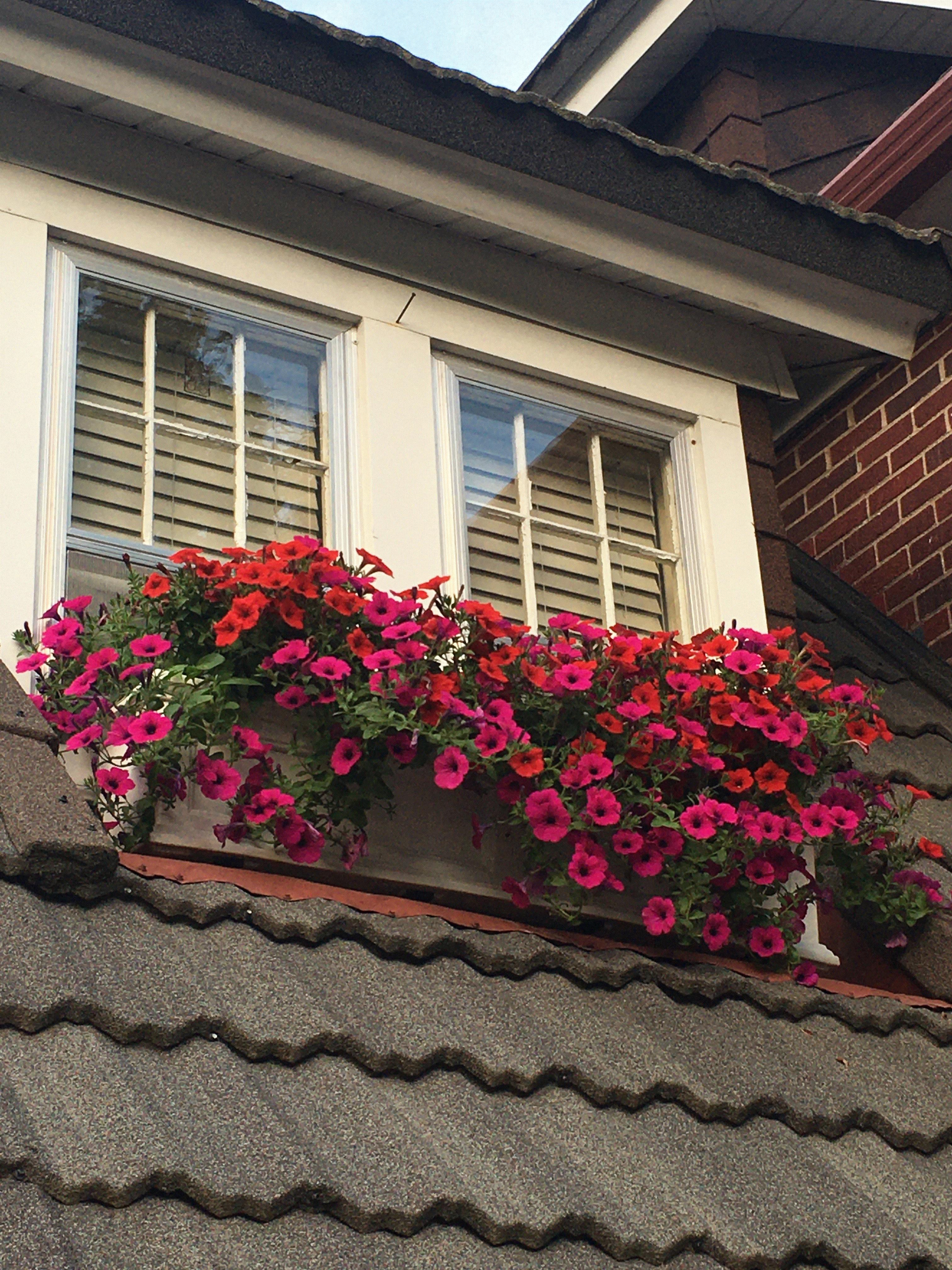 Amy, Omaha, Nebraska