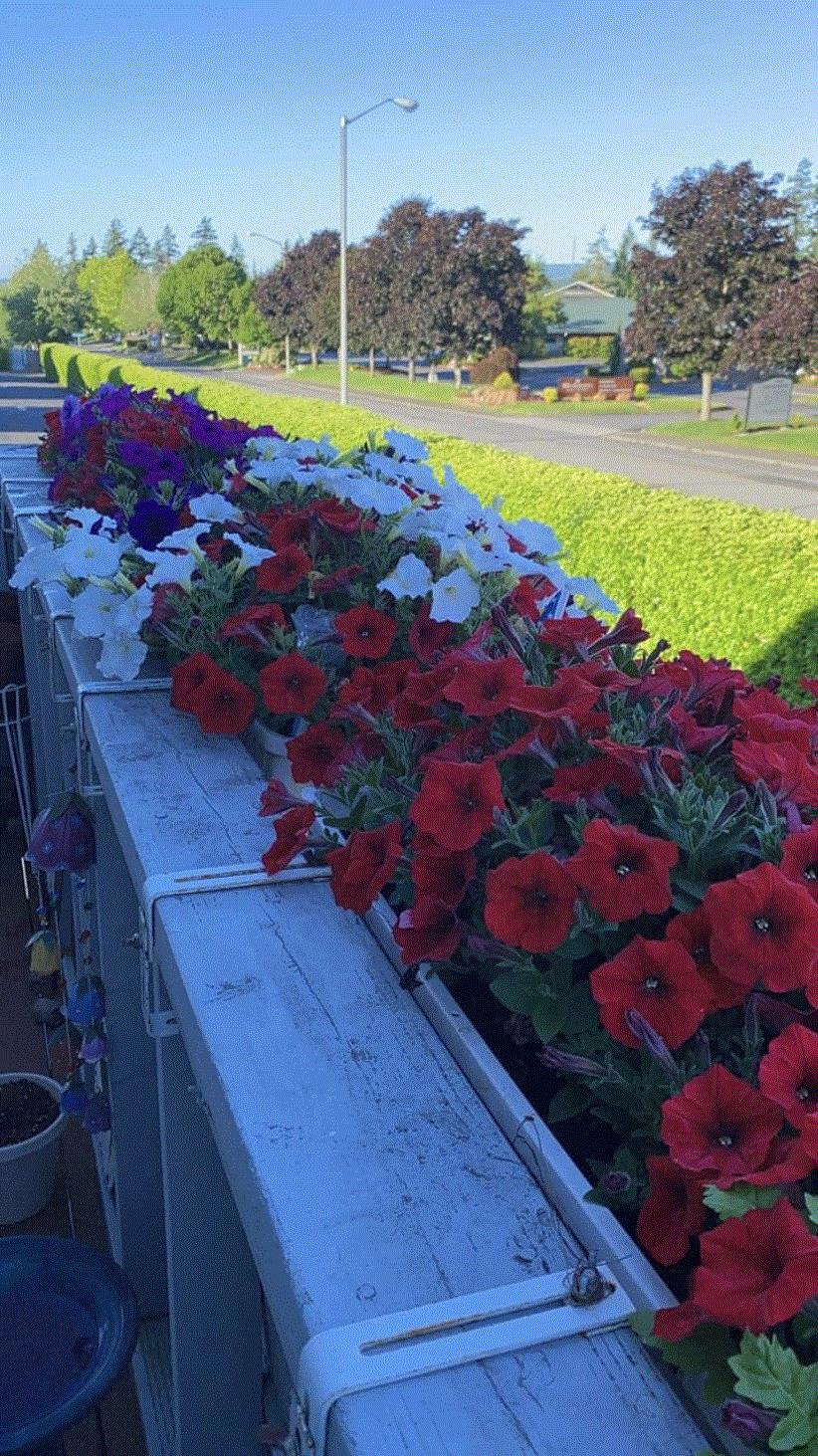 Lori, Silverdale, WA