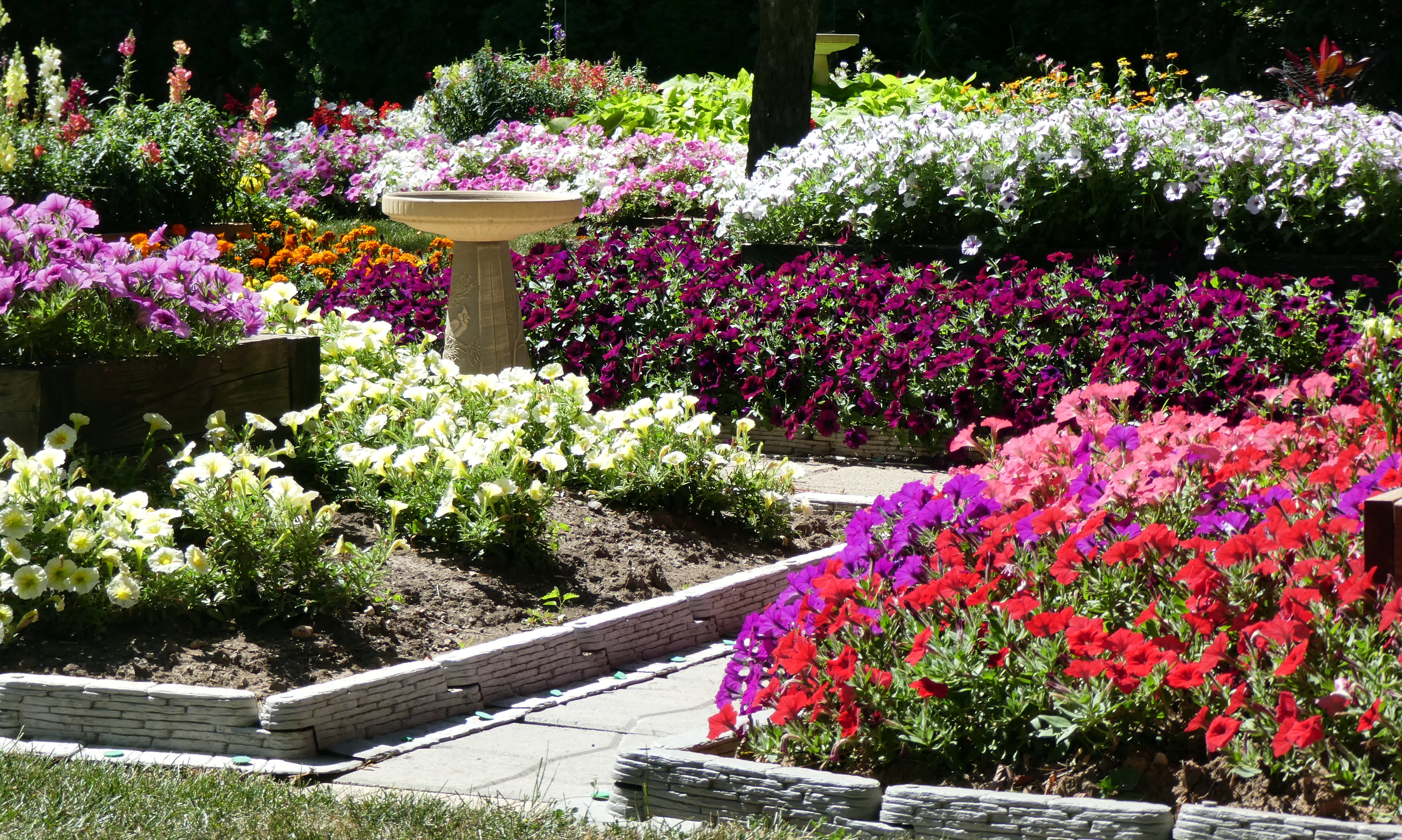 Ellis, New Berlin, WI