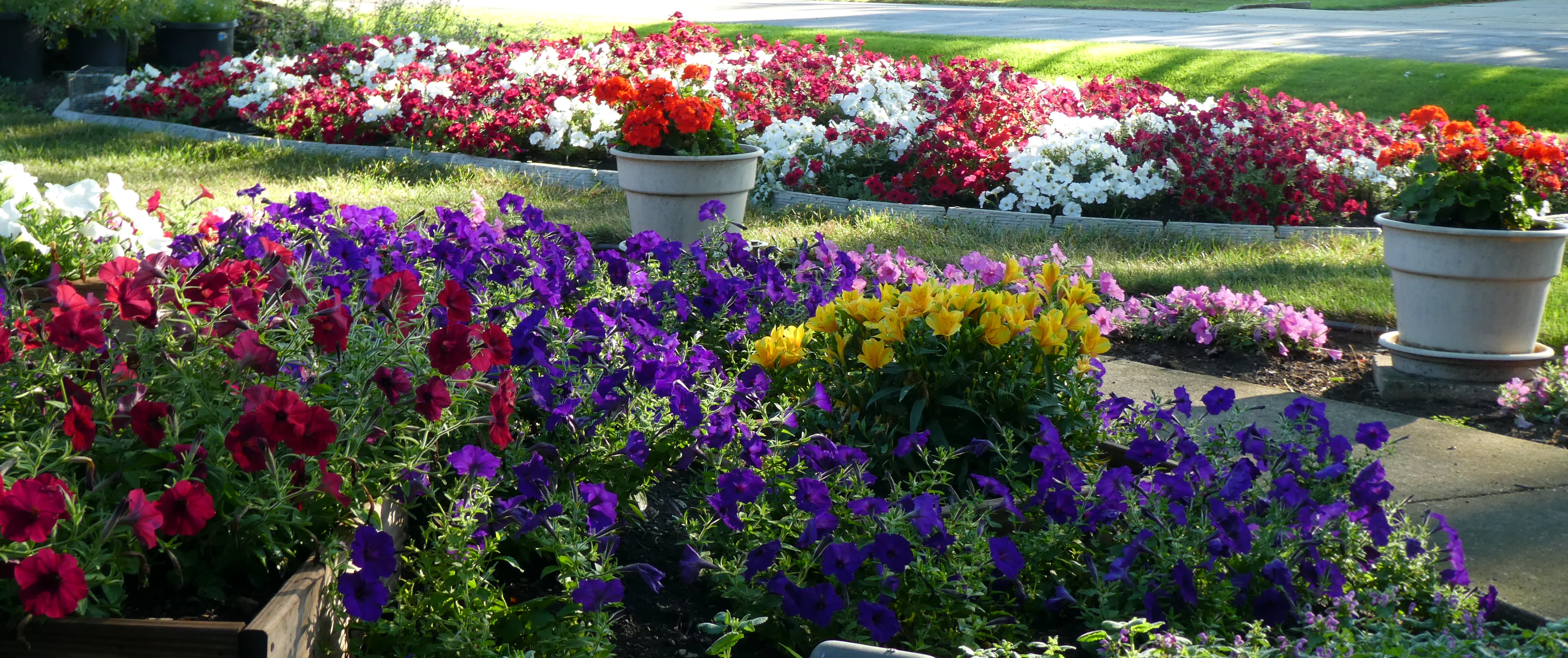 Ellis, New Berlin, WI