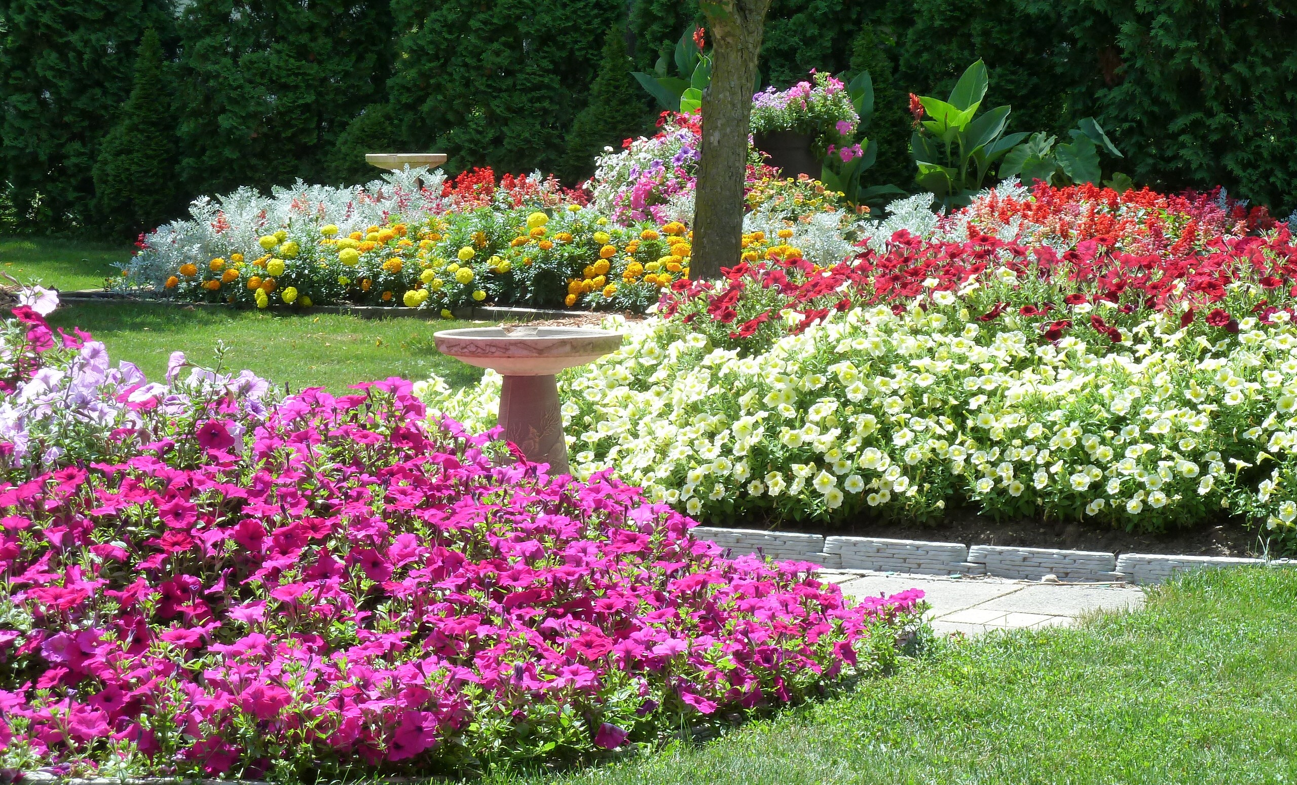 Ellis, New Berlin, WI