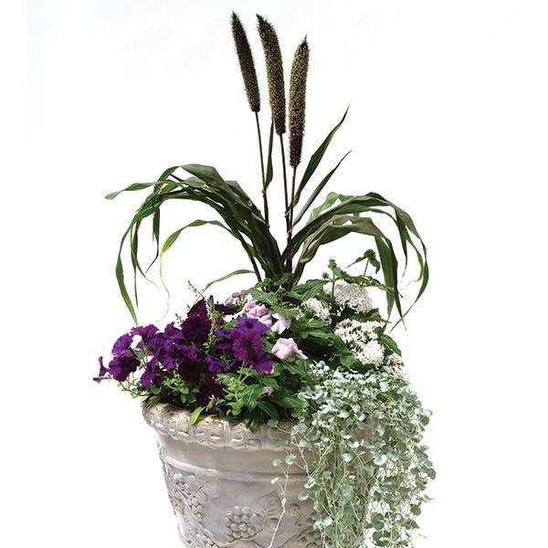 Easy Wave® Blue Project