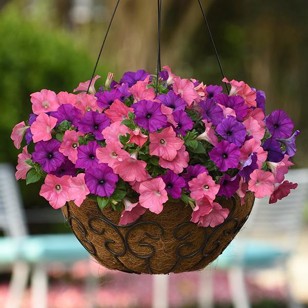 Easy Wave® Opposites Attract Mixture Container 1