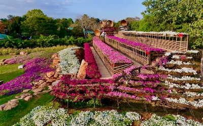 Tiered outdoor garden with mounds of bright pink, white and purple flowers.