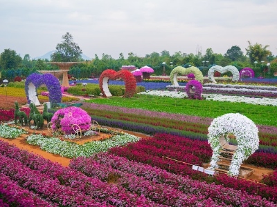 Lavish outdoor garden with mounds of colorful flowers in heart-shaped structures.