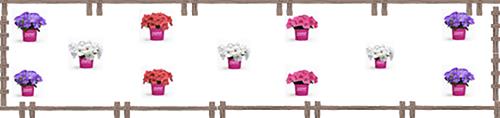 Schematic of a garden planter with Wave petunias