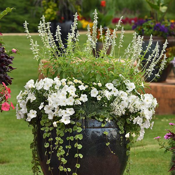 E3 Easy Wave® White Container 2