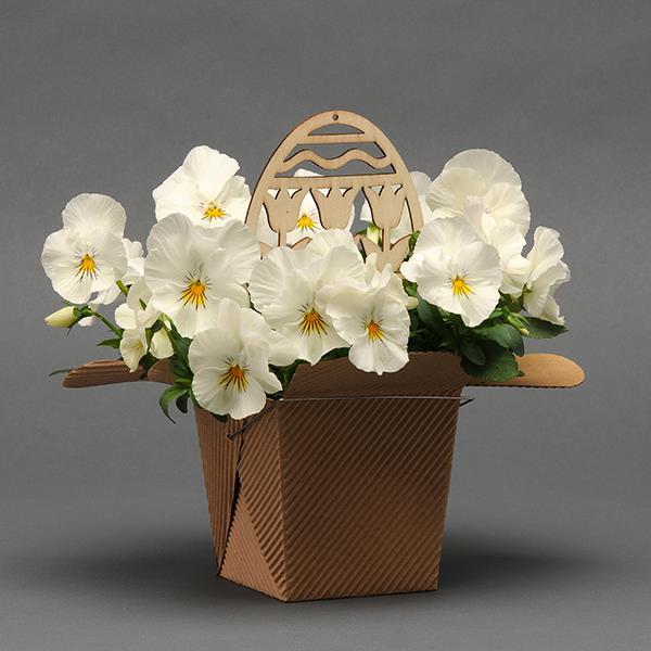 Cool Wave® White Project