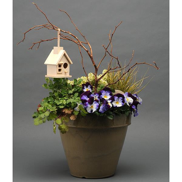 Cool Wave® Violet Wing Project