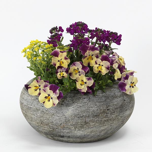 Cool Wave® Raspberry Swirl Project