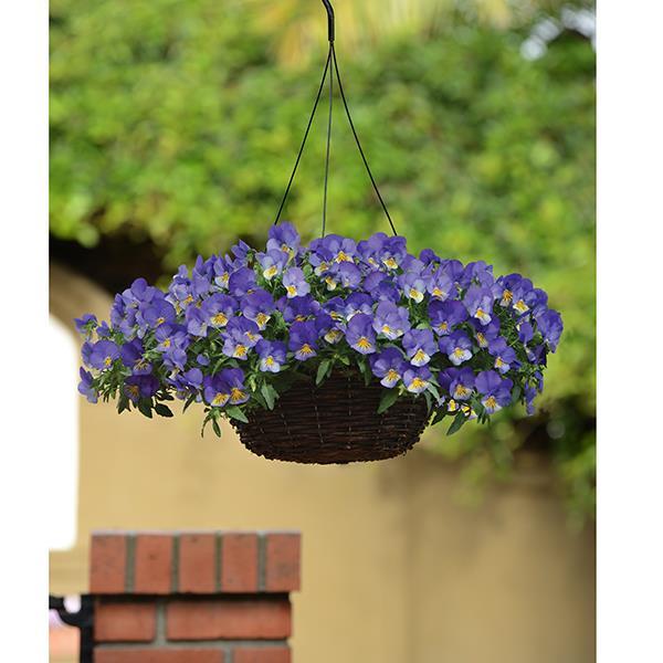 Cool Wave® Blue Skies Container 2