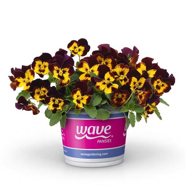 Cool Wave® Fire Pot