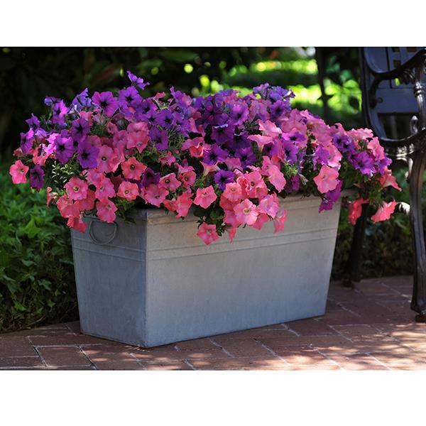 Easy Wave® Opposites Attract Mixture Container 2